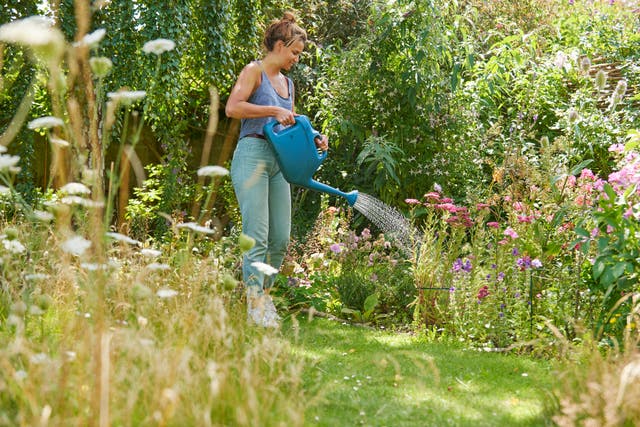 <p>There are many veg you can harvest while waiting for the slower ones to grow</p>