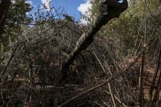 Ukraine-Russia war - live: Kyiv launches second attack on Crimean city as Zelensky warned by Polish PM