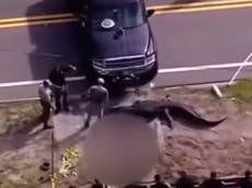 Alligator with corpse in mouth is shot dead in Florida