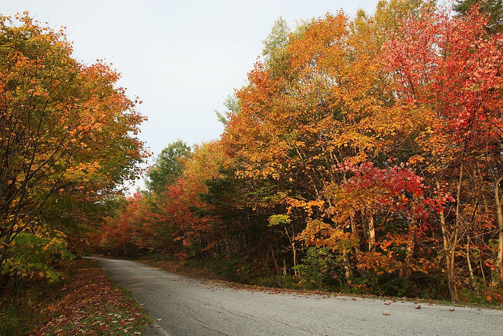 Vermont’s iconic fall foliage is a major driver of state tourism