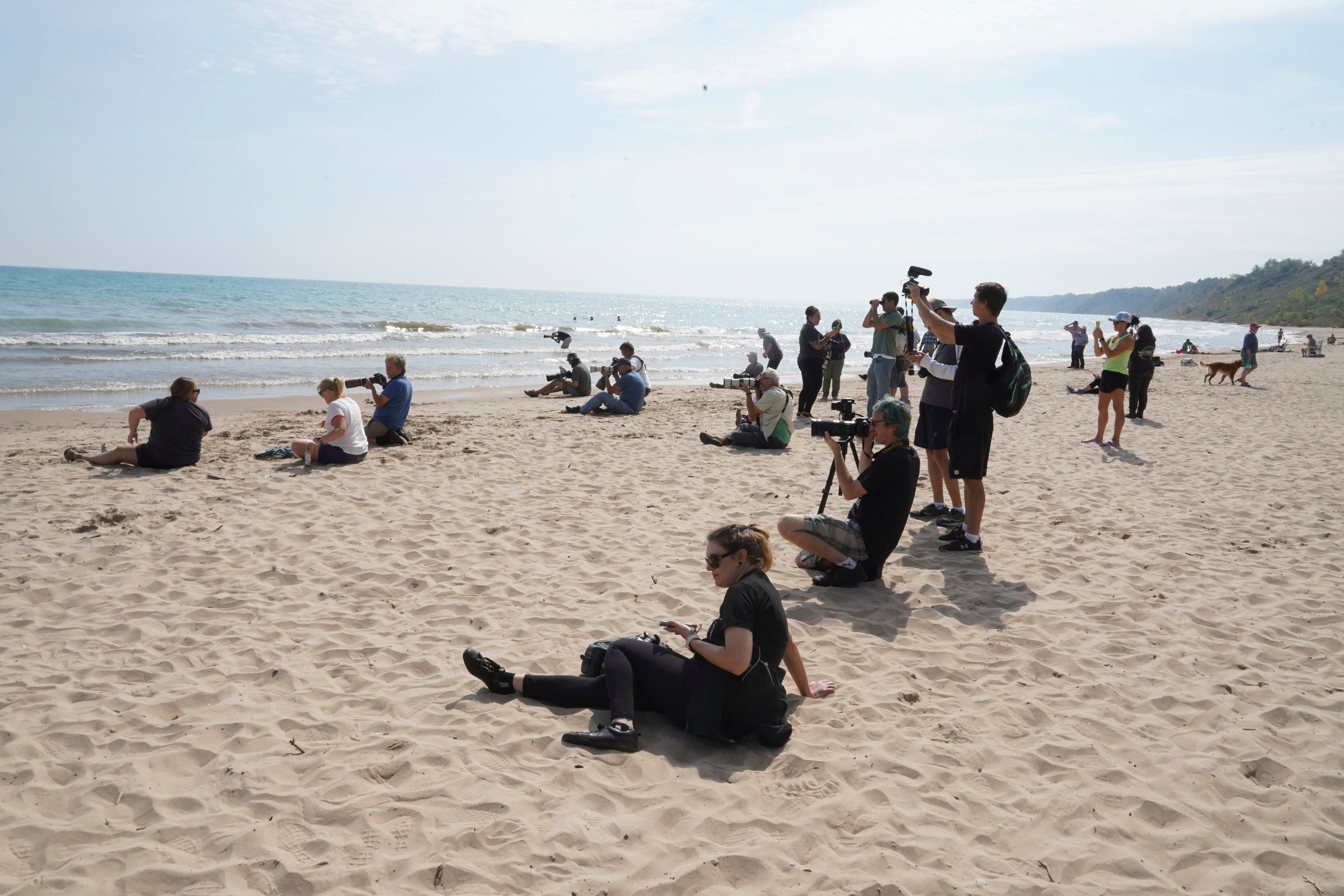 ODD--Flamingos In Wisconsin