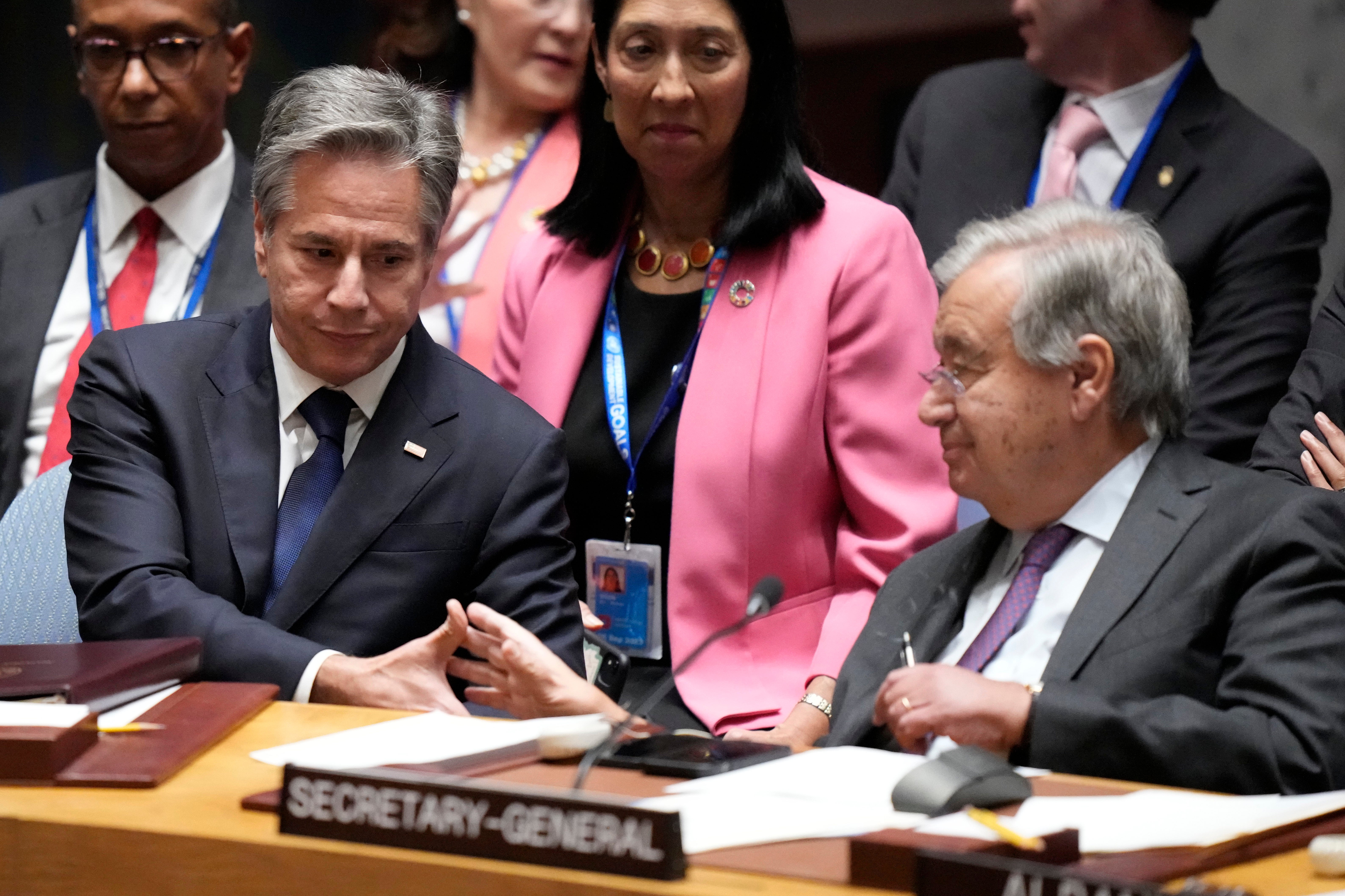 UN General Assembly Security Council