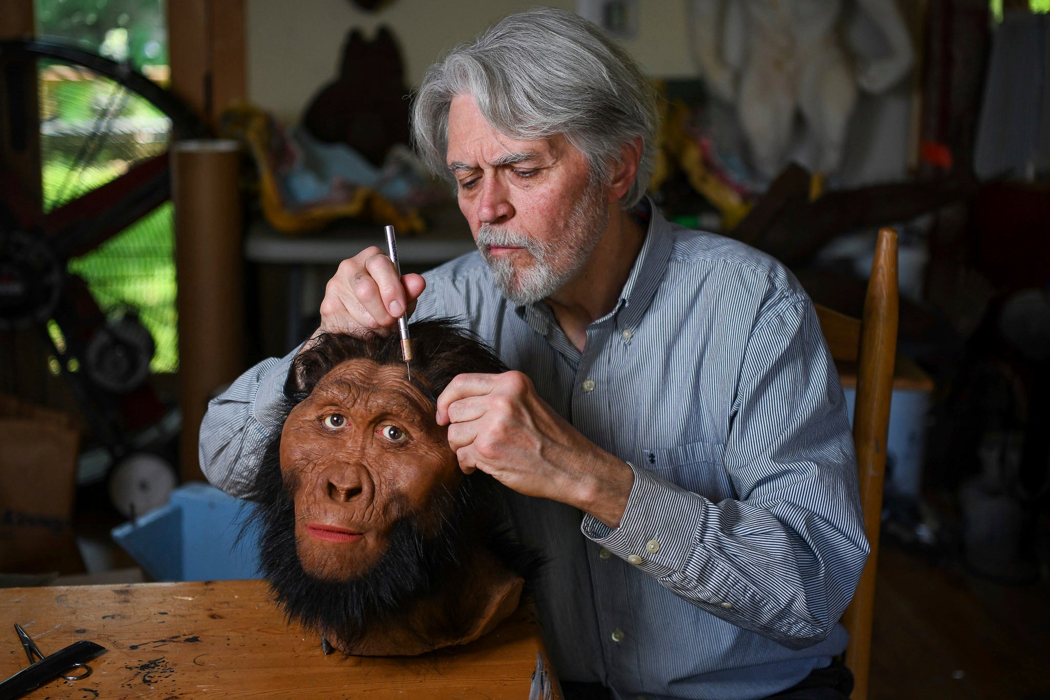 Ancient Humans New Picture