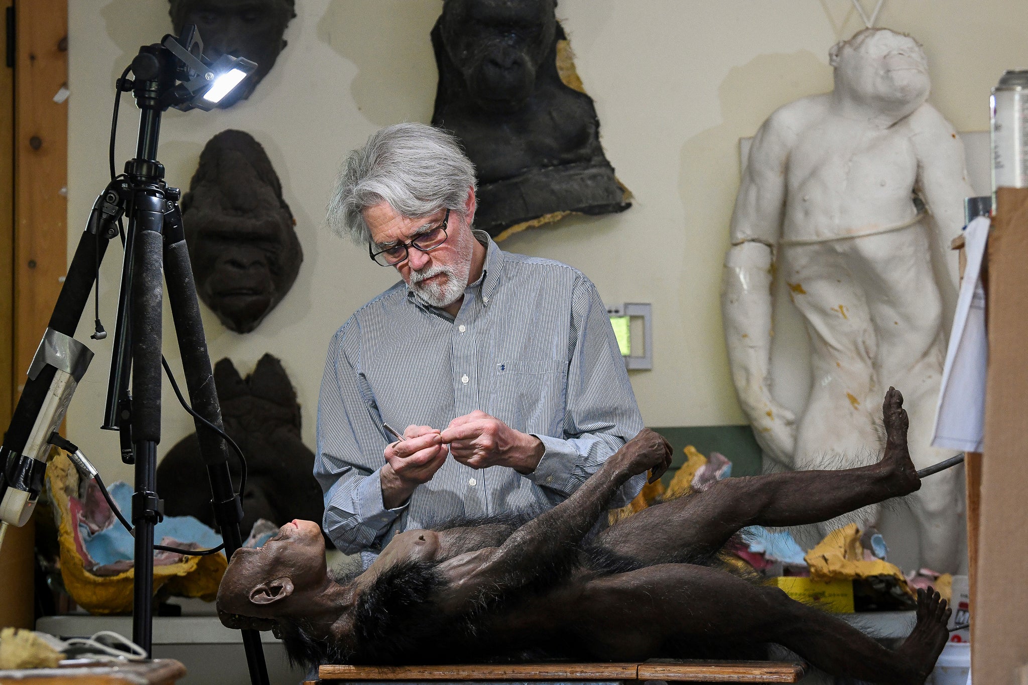 Ancient Humans New Picture