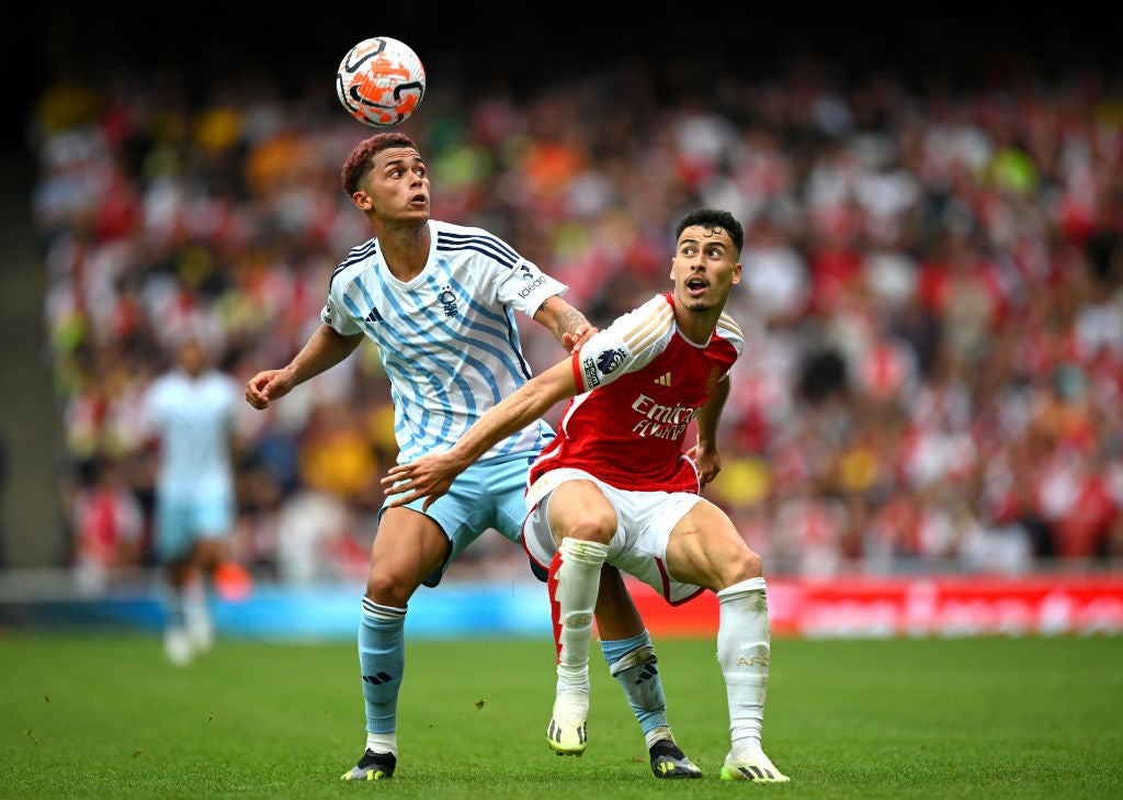 Johnson in action at the Emirates earlier this season