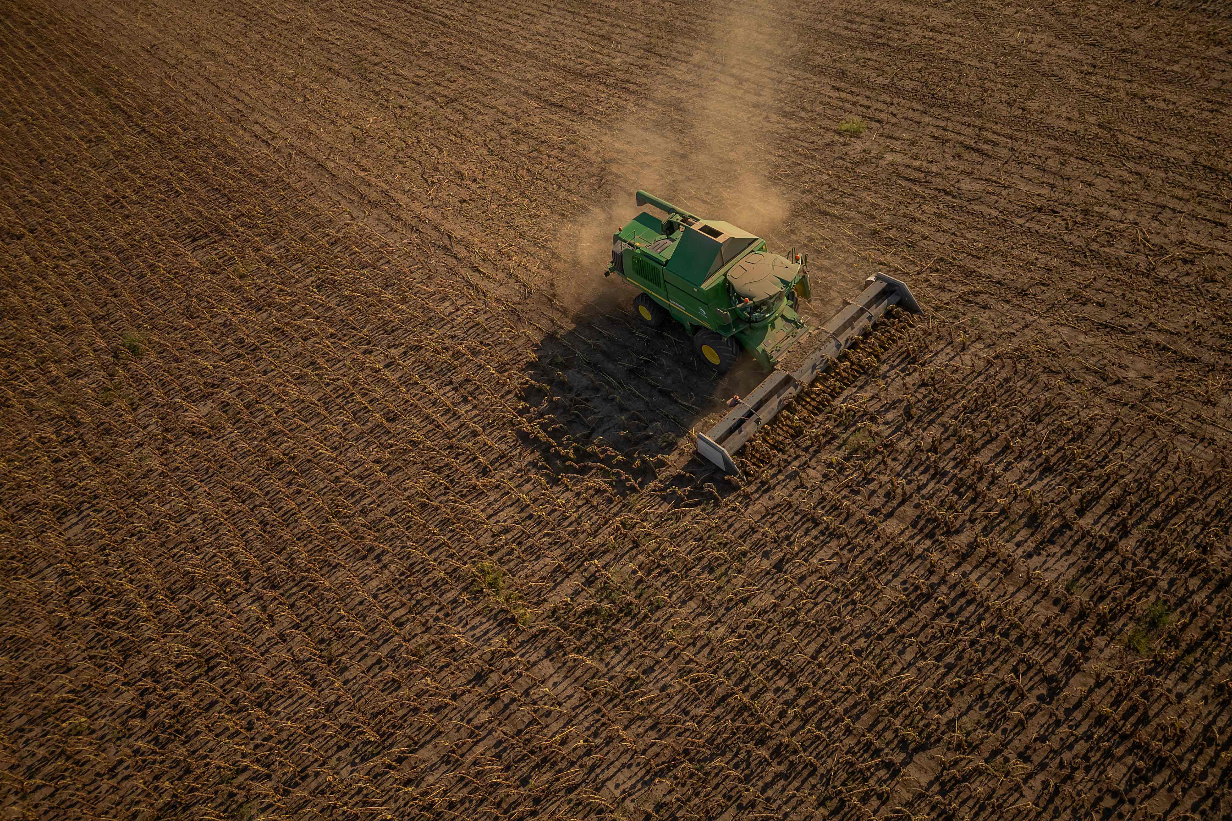 A combine harvester collects sunflower seeds in a field outside Kryvyi Rig, amid the Russian invasion of Ukraine