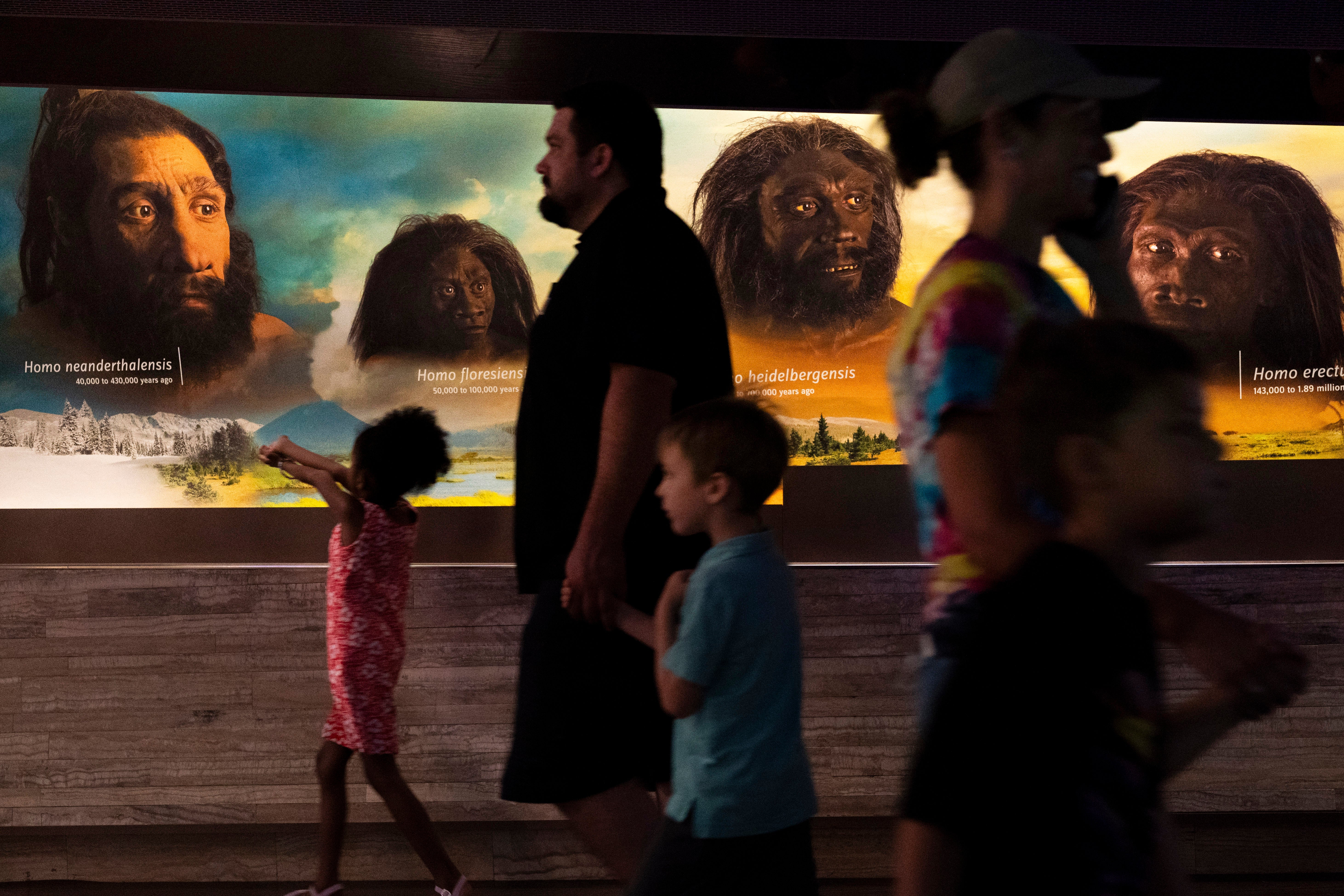 Ancient Humans Genetics