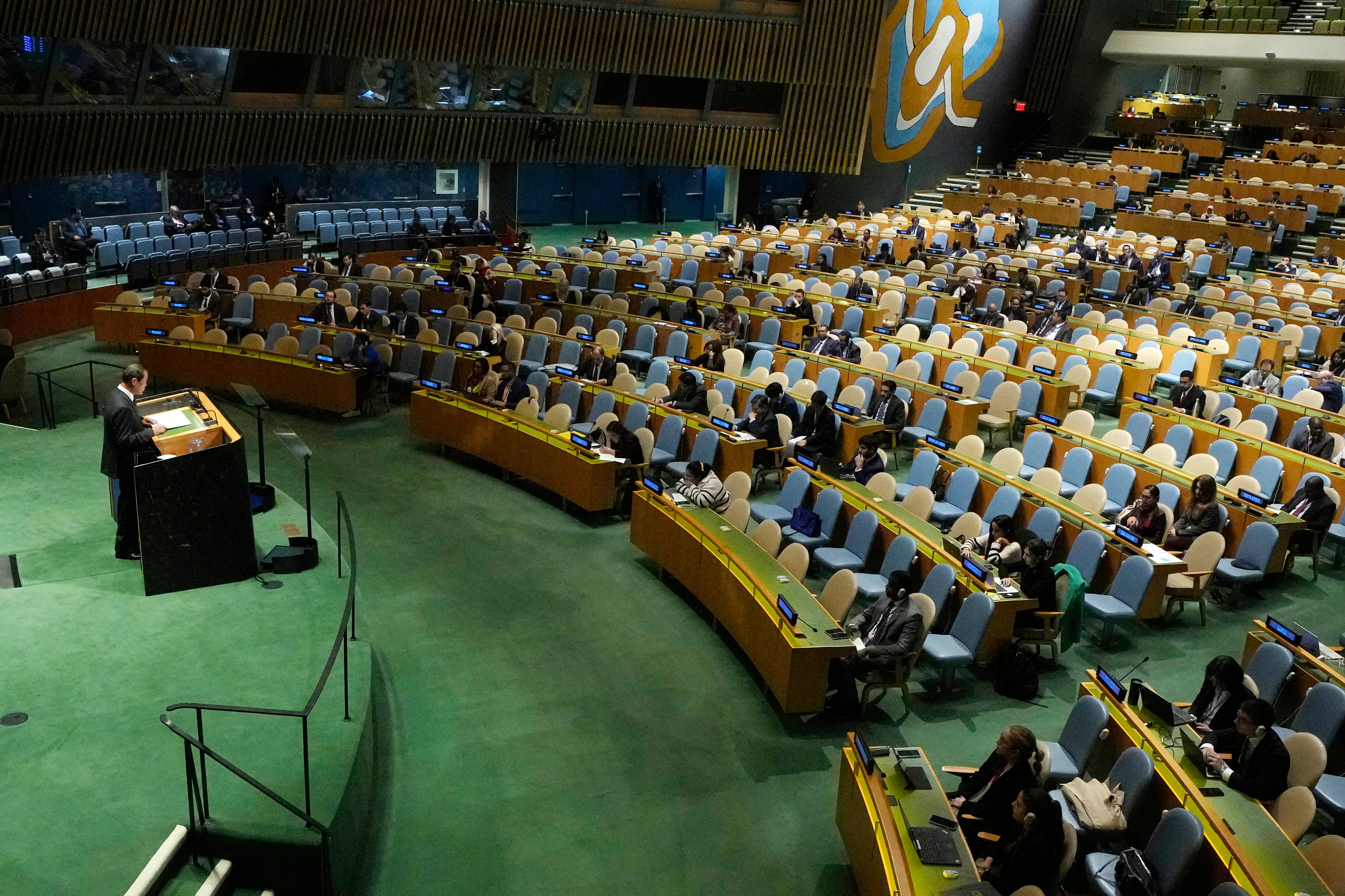 UN General Assembly