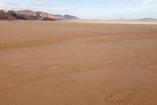 Mysterious ‘fairy circles’ found dotting Africa and Australia now found in more parts of world