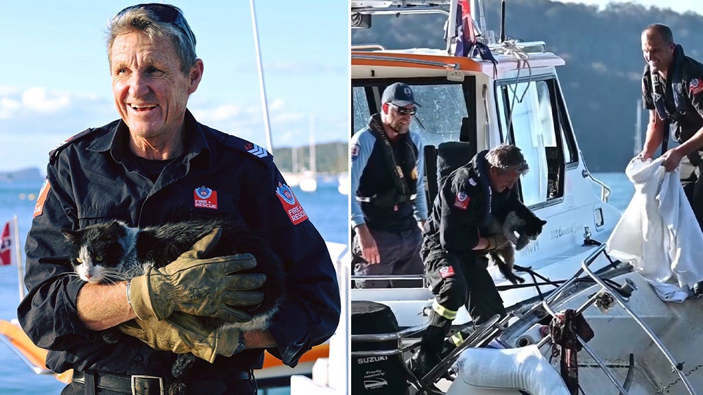 Moment cat stuck inside boat’s hull after fire is rescued by firefighters