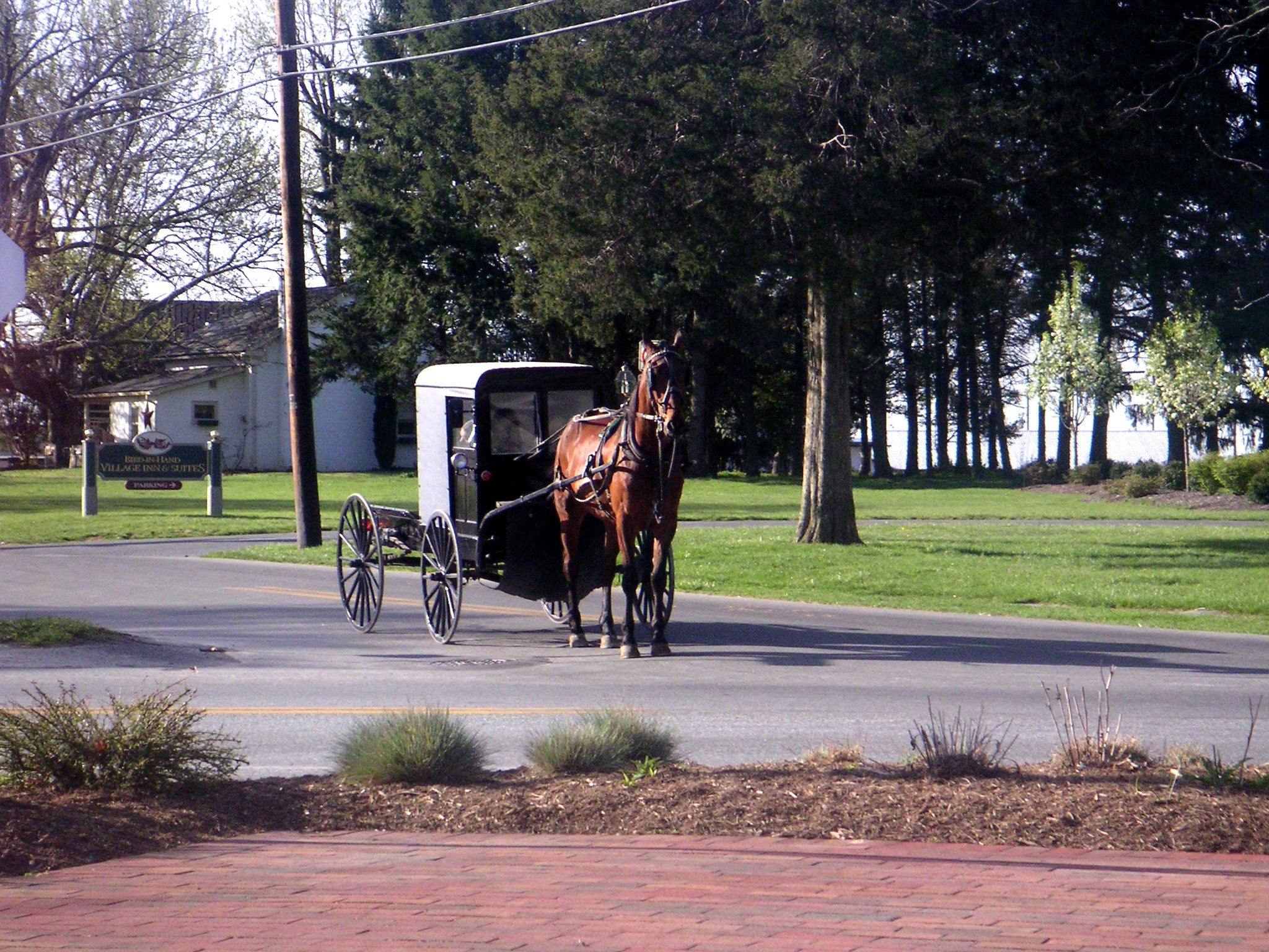 A horse-drawn Amish buggy. An Amish child was killed in July 2024 when a pickup truck hit a buggy carrying a family of seven in Cumberland County, Virginia. The other family members were all injured in the accident and required treatment (stock image)