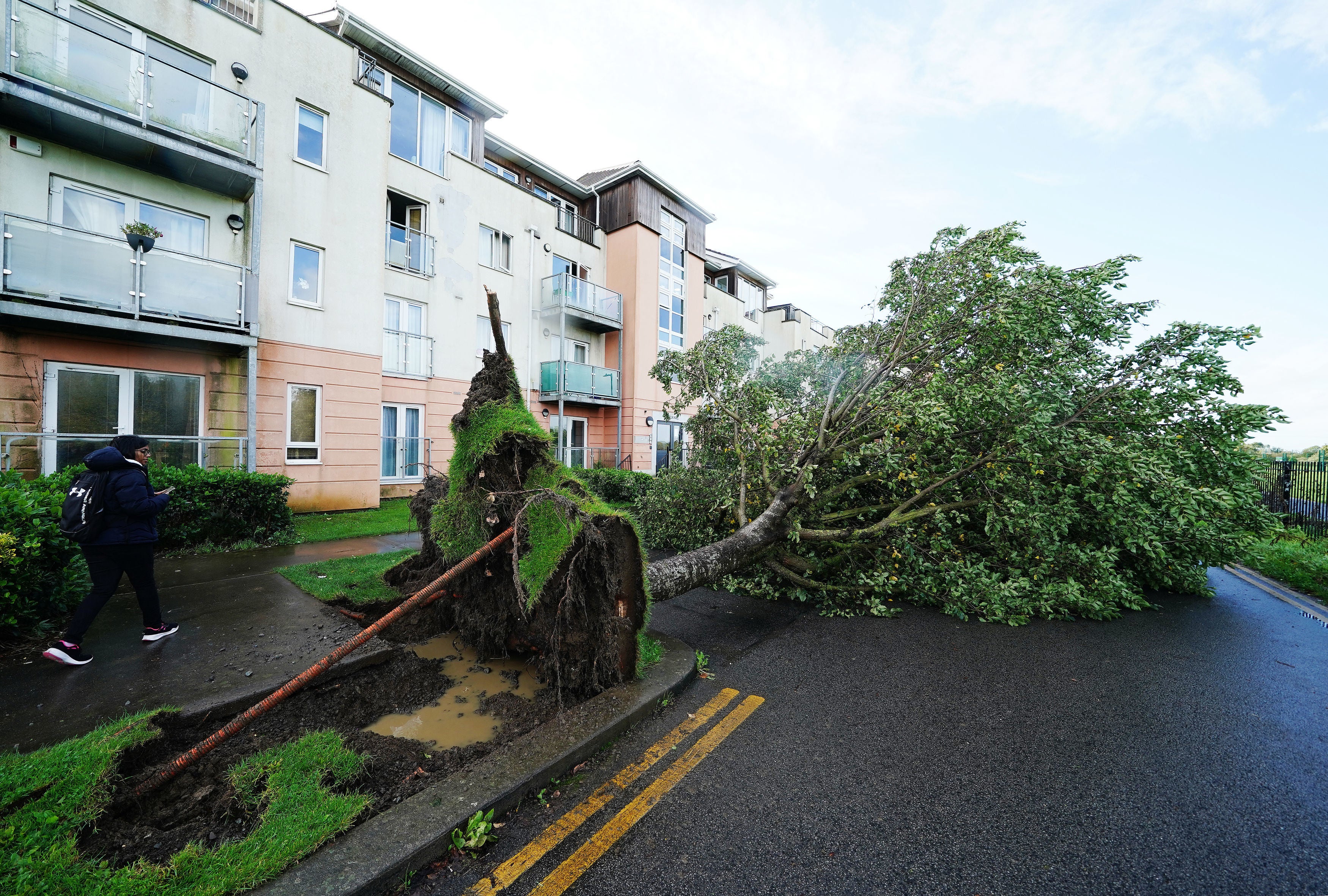 A fallen tree on Thornleigh Road in Swords, Dublin, as Storm Agnes continues