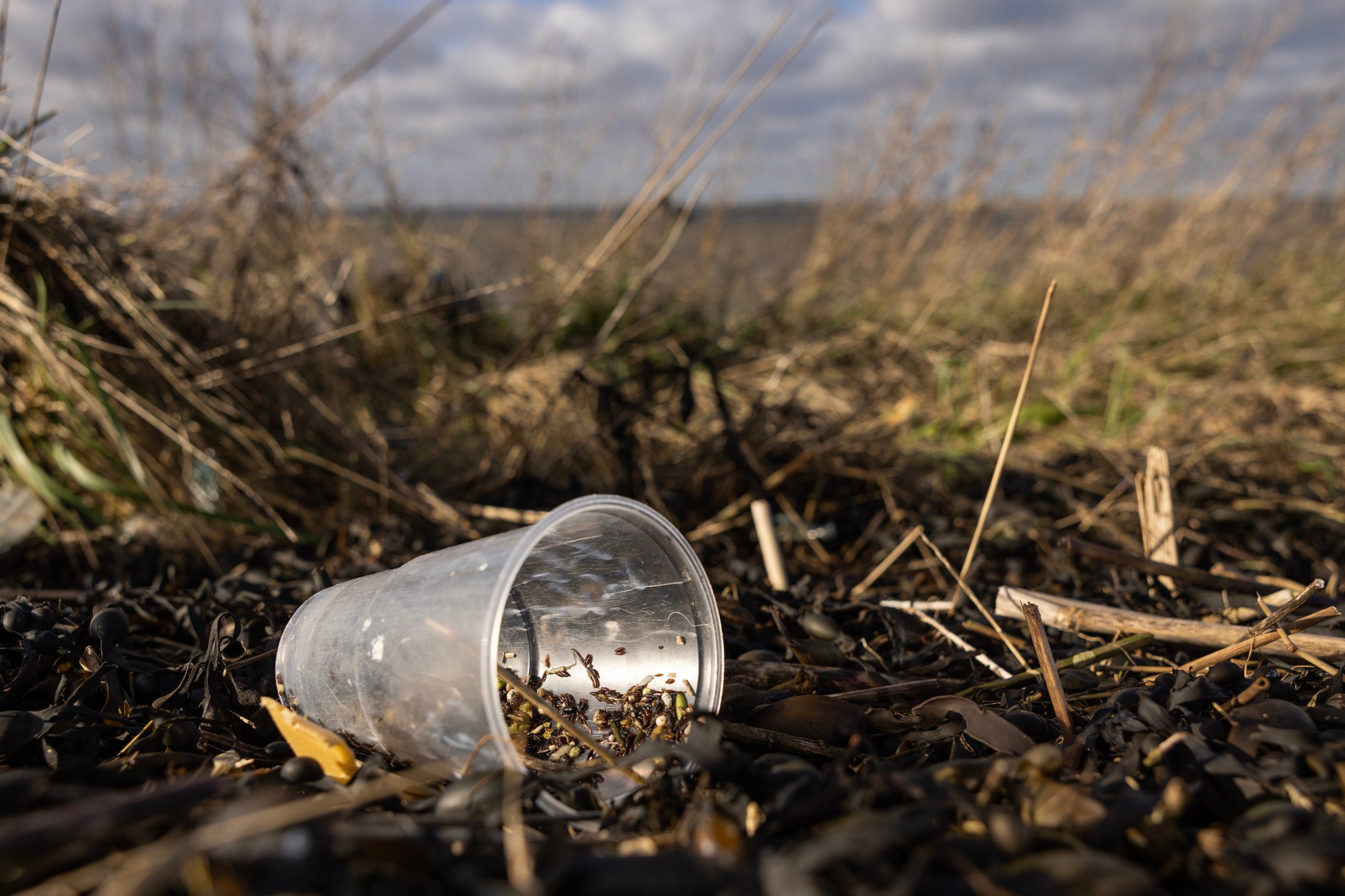 Plastic and other detritus lines the shoreline of the Thames estuary on 13 January 2023 in Cliffe, United Kingdom