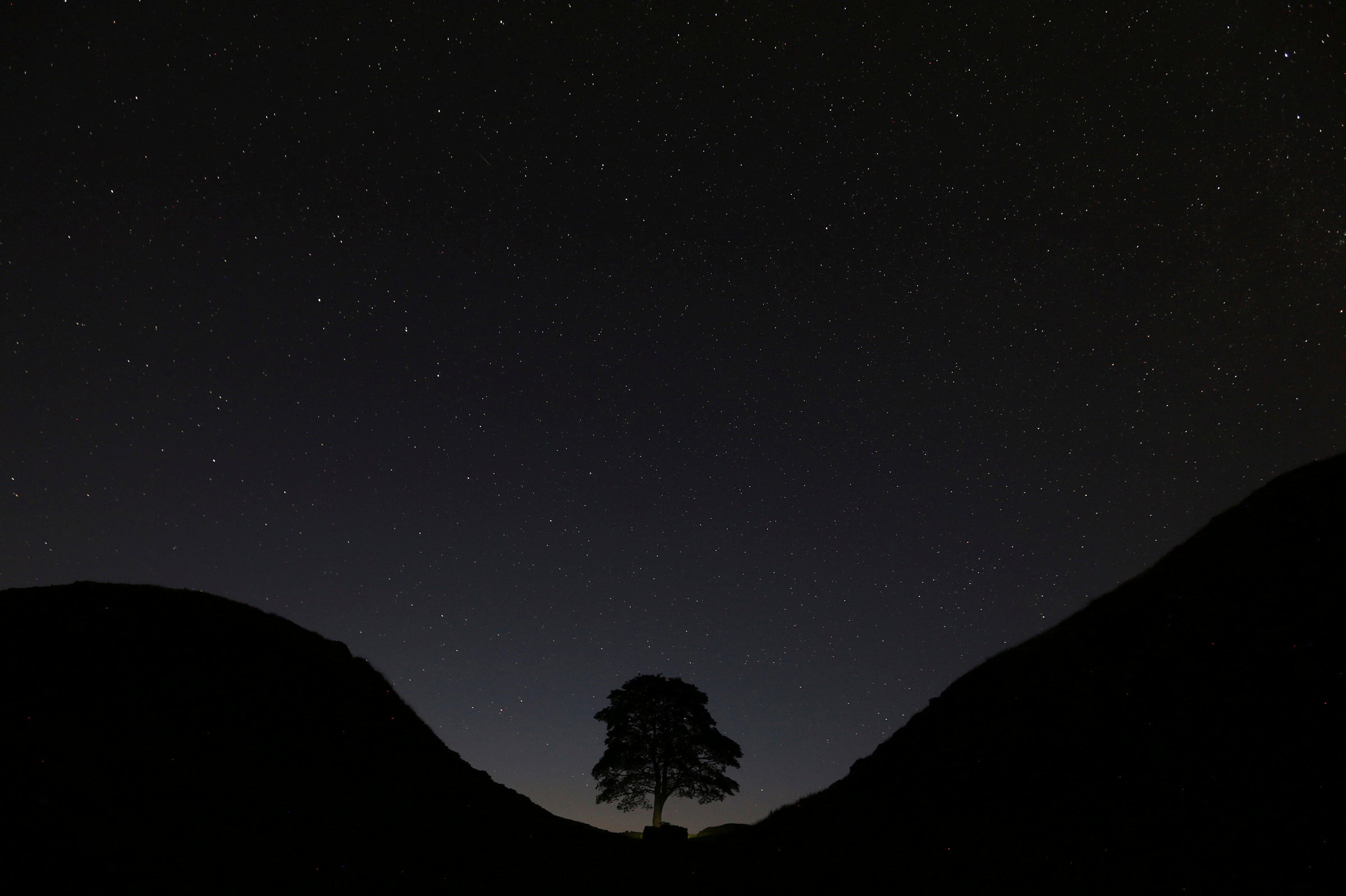 Britain Hadrian's Wall Felled Tree