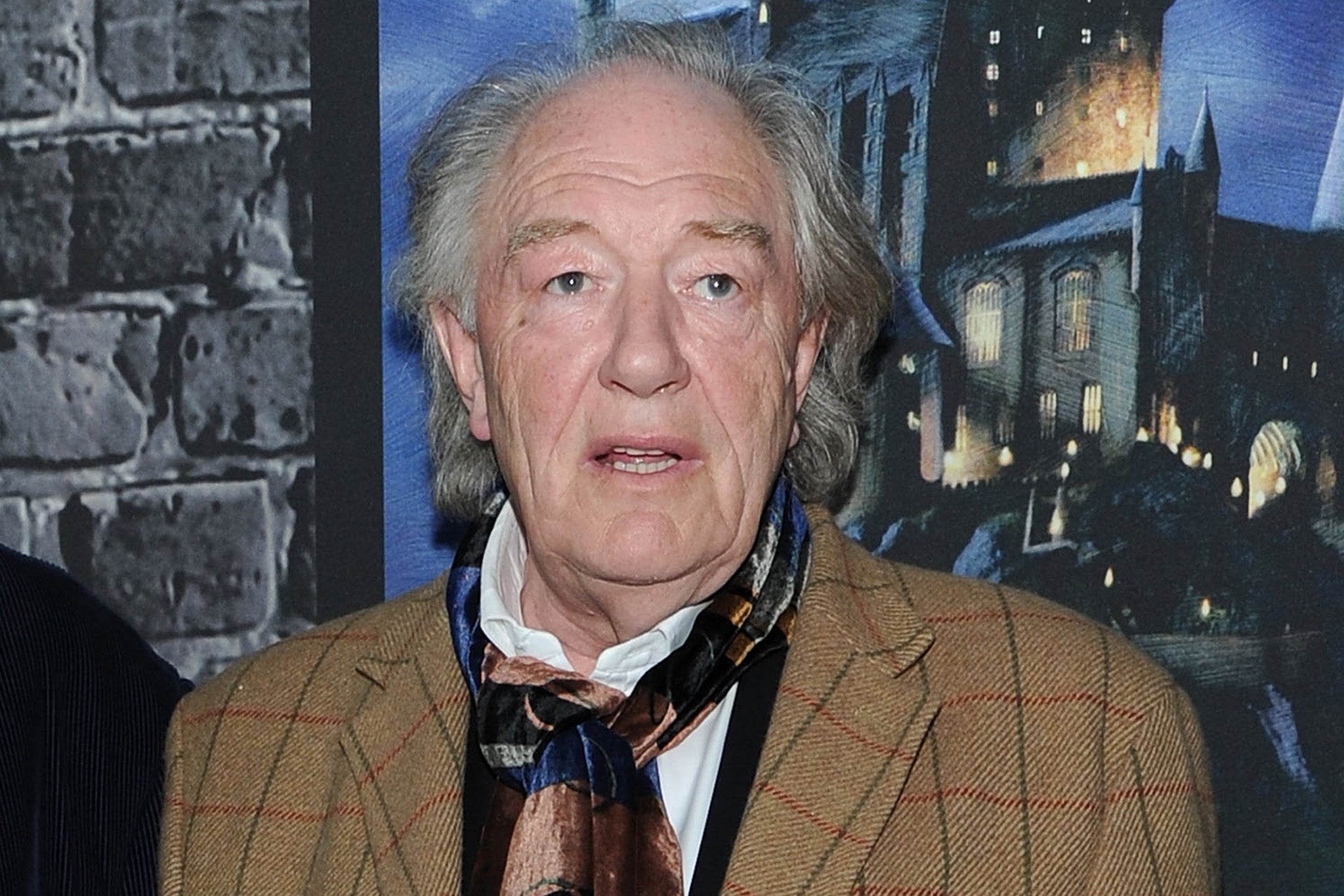 Sir Michael Gambon passed away in September last year