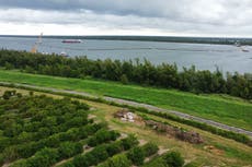 Louisiana citrus farmers are seeing a mass influx of salt water that could threaten seedlings