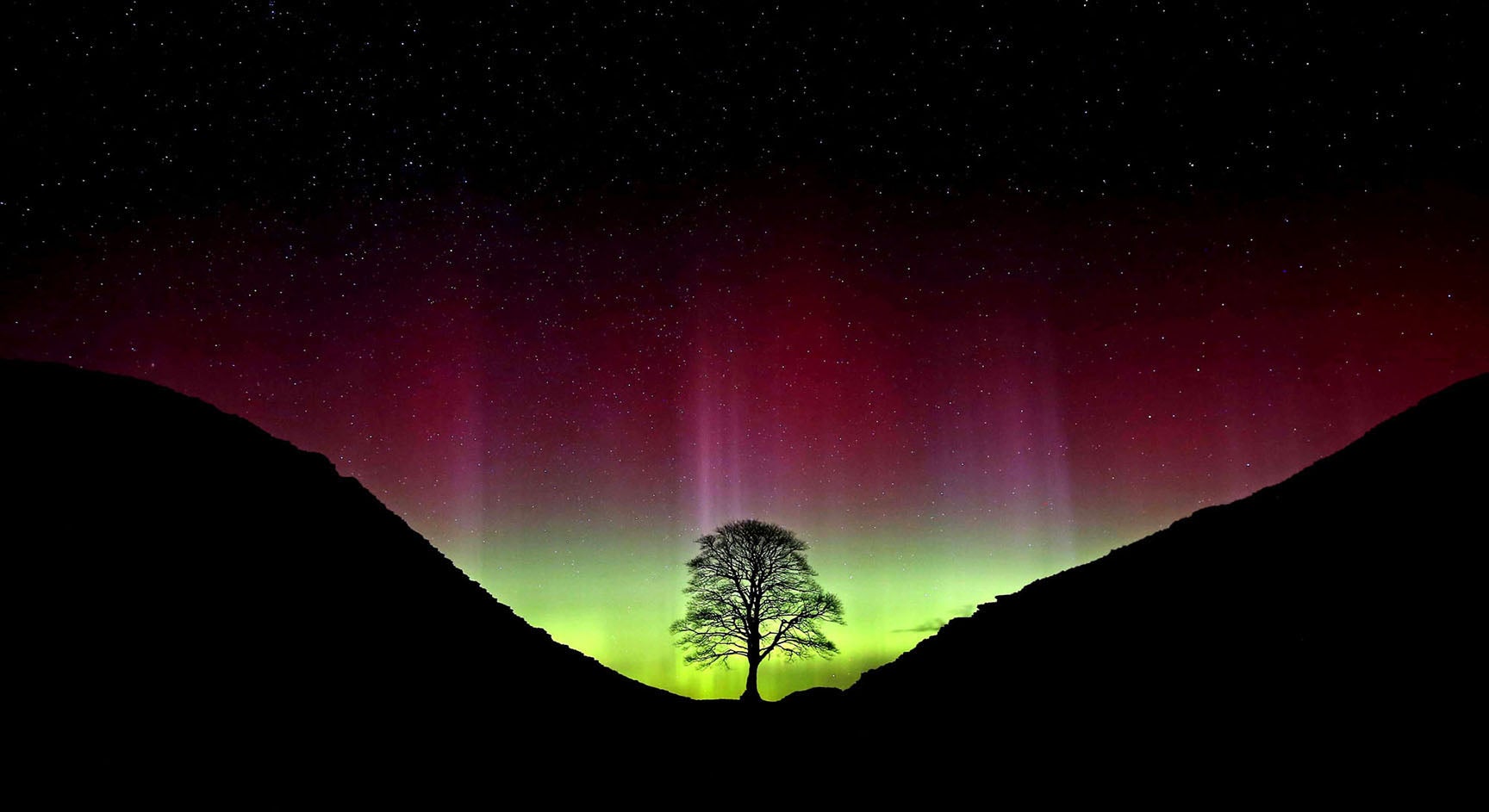 The Sycamore Gap tree once stood tall, capturing the beauty of nature and its surroundings