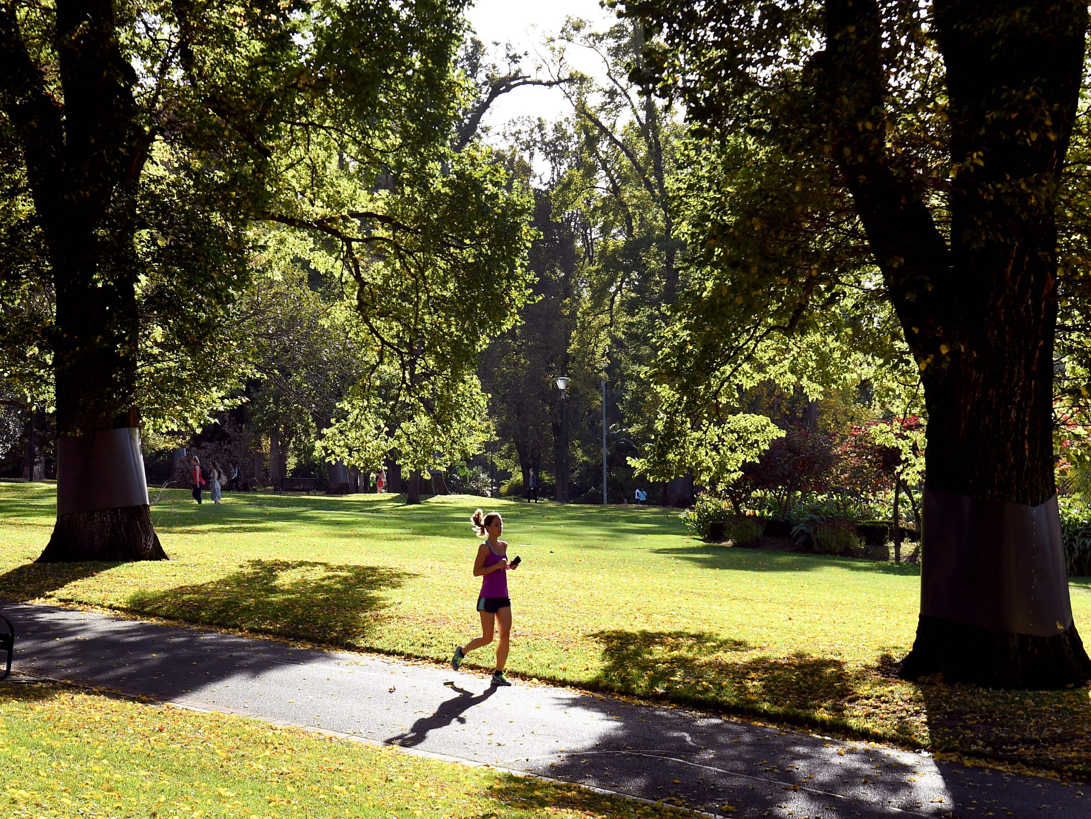 Spending time in nature can be one of the healthiest life choices you make