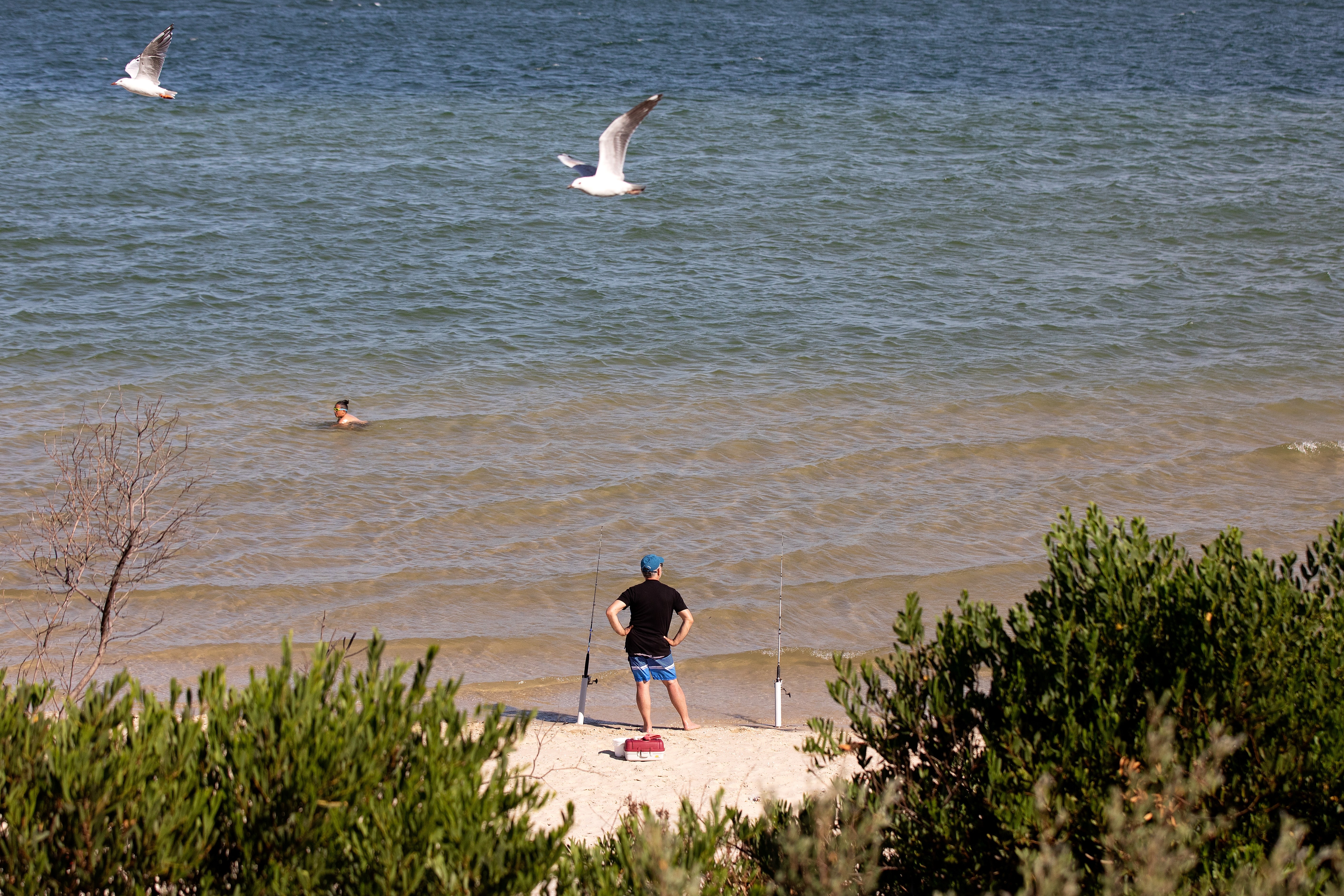 A fisherman watches the water near the Kyeemagh Beach Baths on January 24, 2021 at Botany Bay in Sydney, Australia