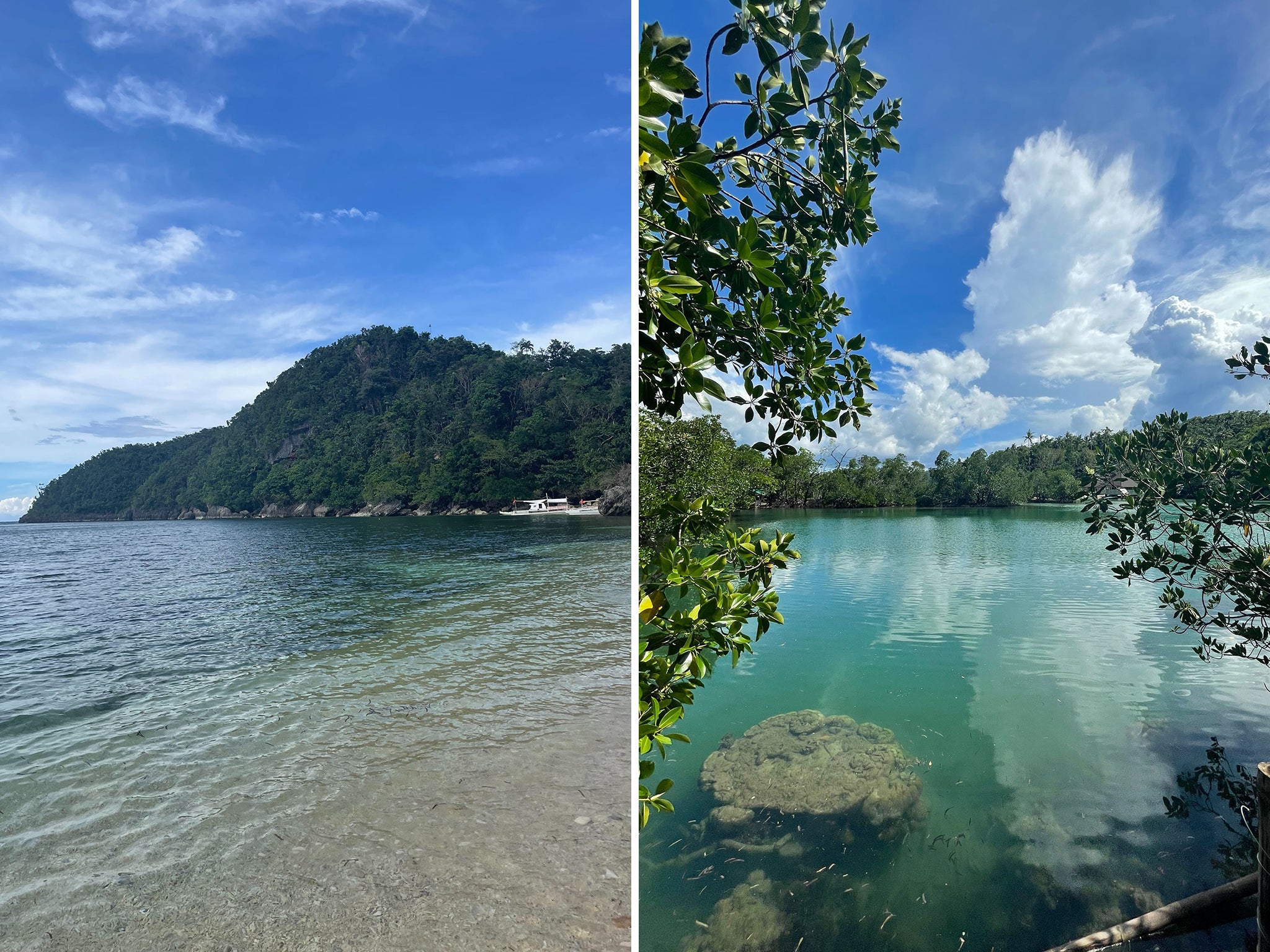 Danjugan island is one of the conservation projects funded by Don Papa