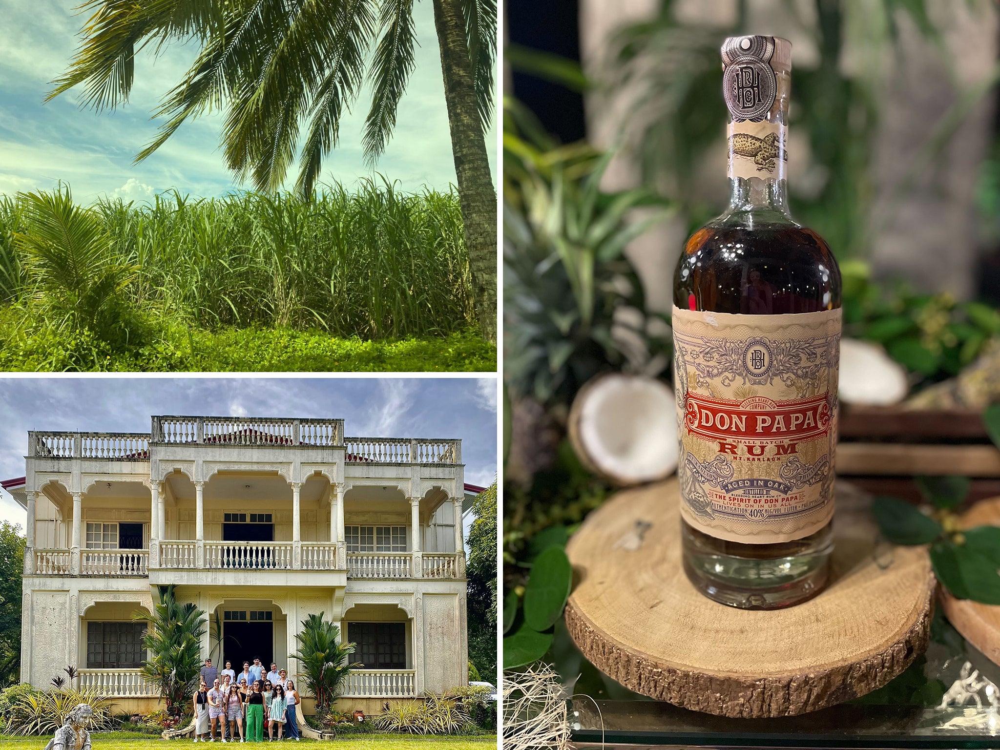 Don Papa was founded on Negros in 2012