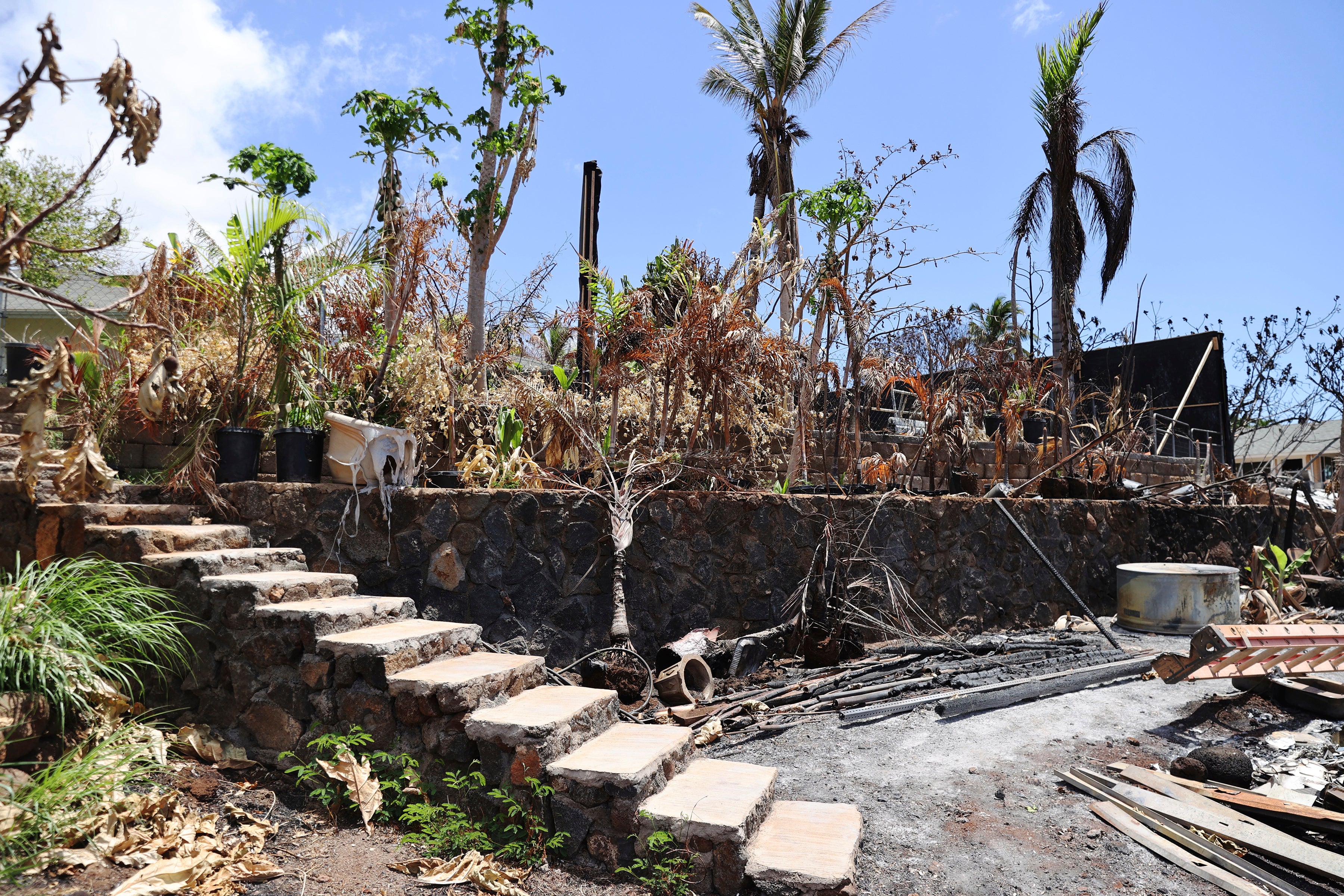 Hawaii Wildfire Hawaiian Homestead