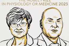 Nobel prize in medicine goes to scientists behind Covid-19 vaccine