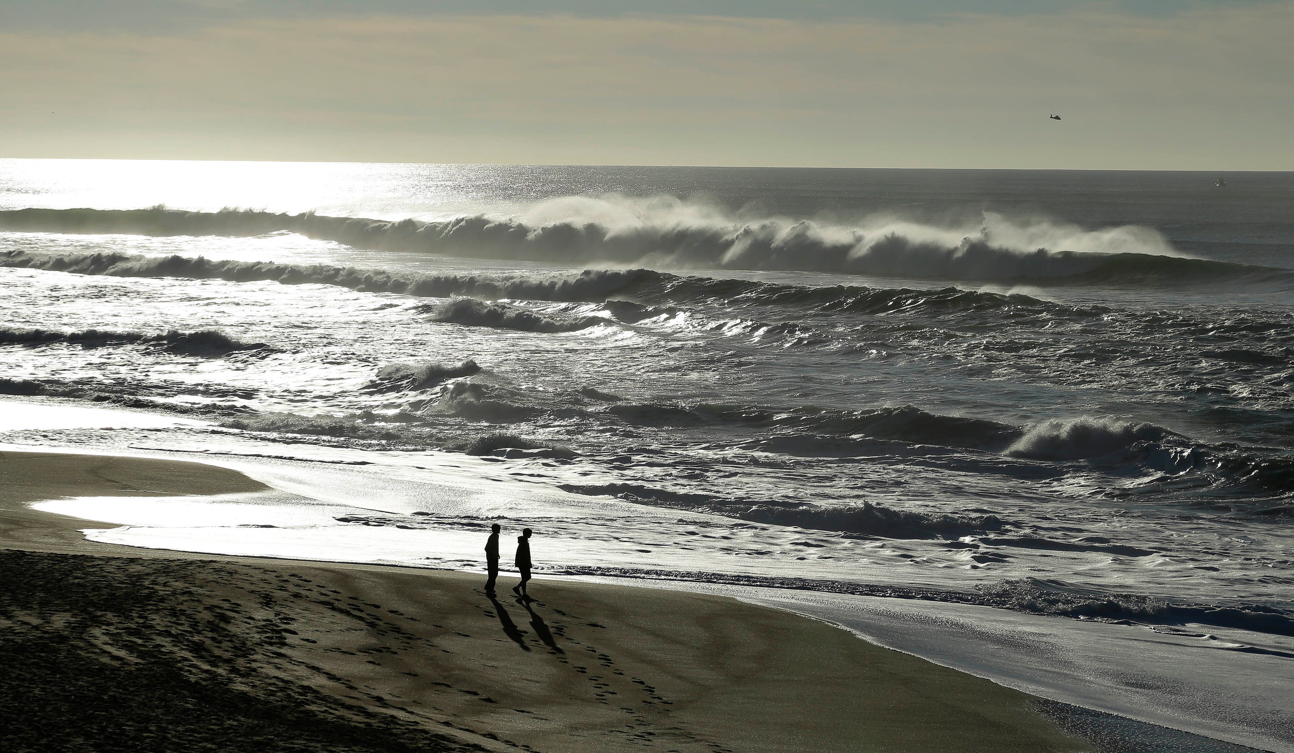 California Swimmer Search