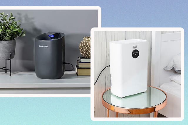 <p>These energy-efficient appliances include air purifiers too </p>