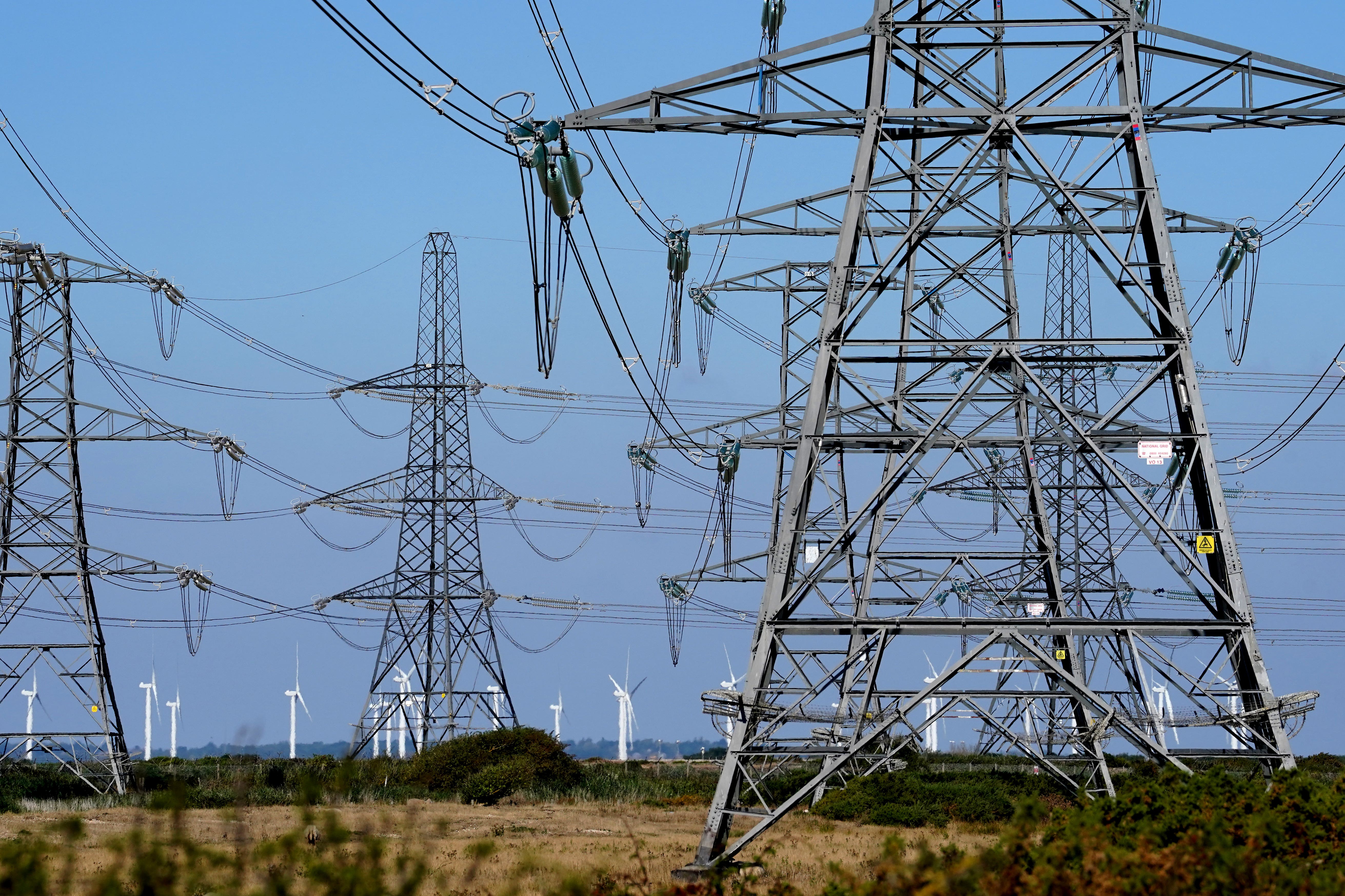 National Grid has told shareholders that its performance is in line with expectations (Gareth Fuller/PA)