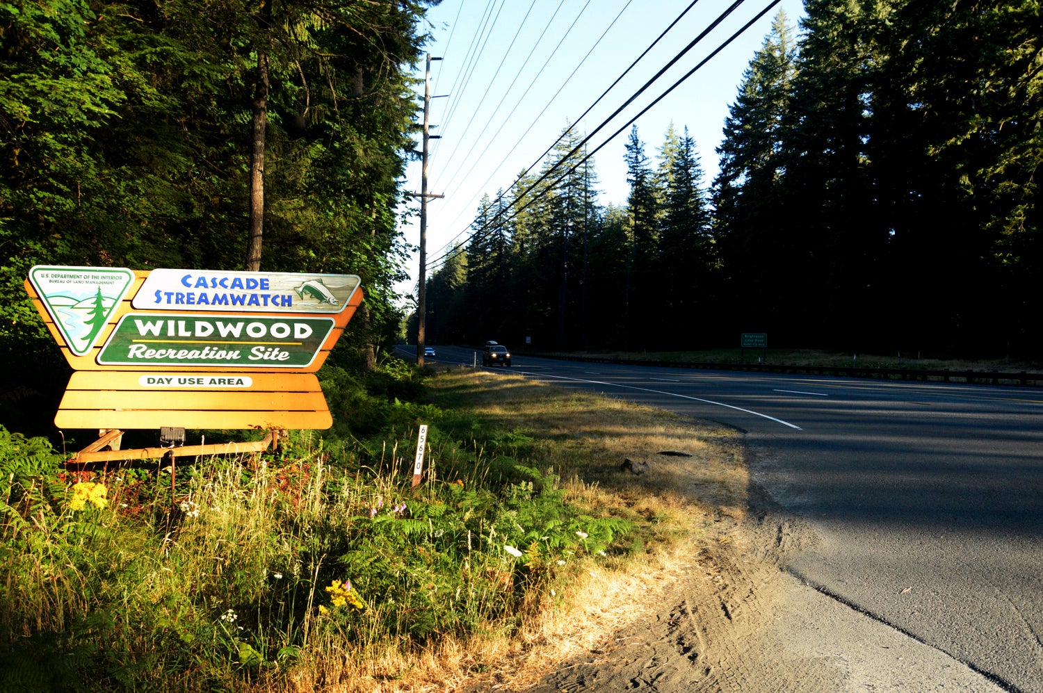 Oregon Native Site Settlement