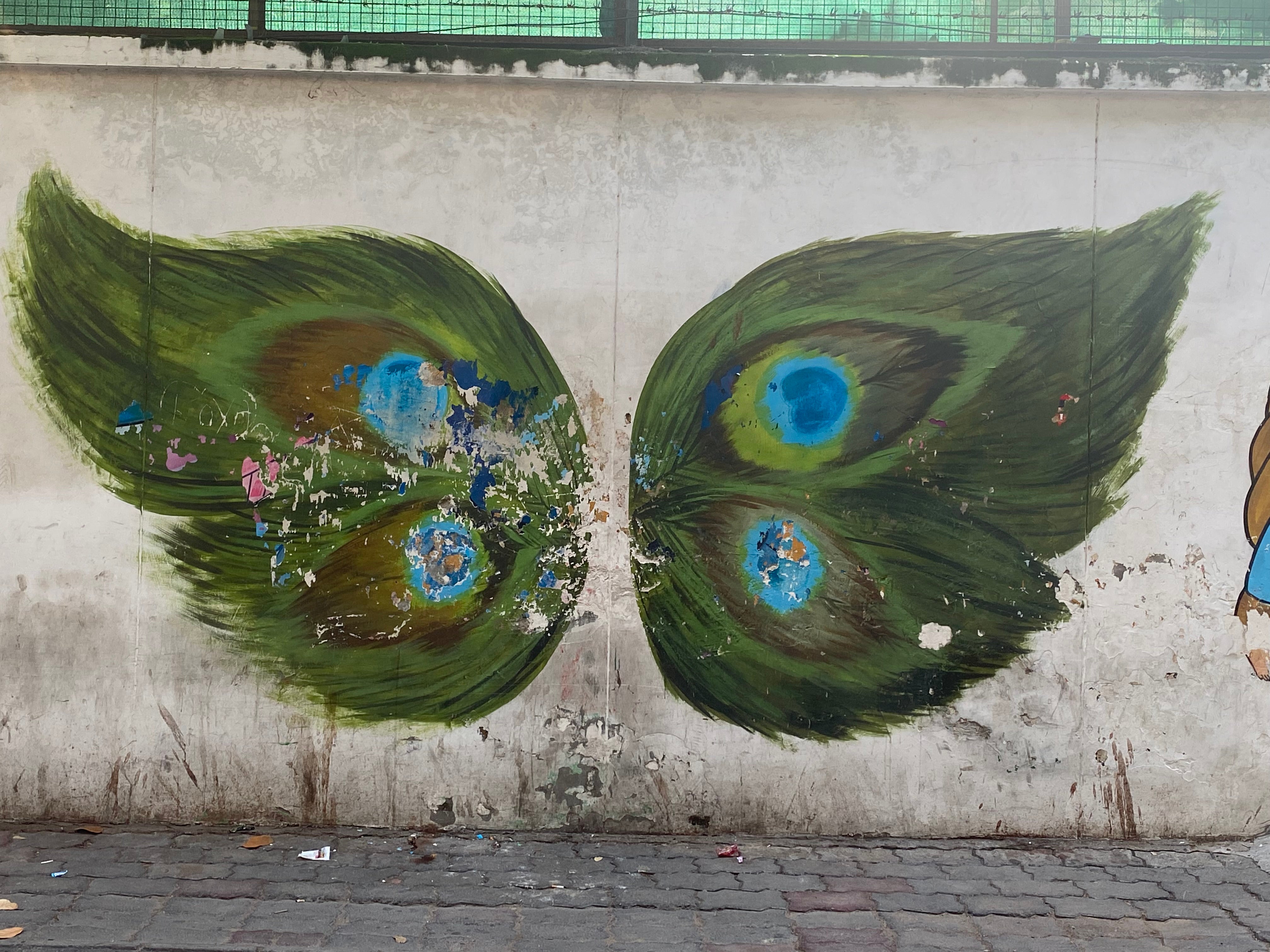 These peacock wings are one of the city’s most popular pieces of street art