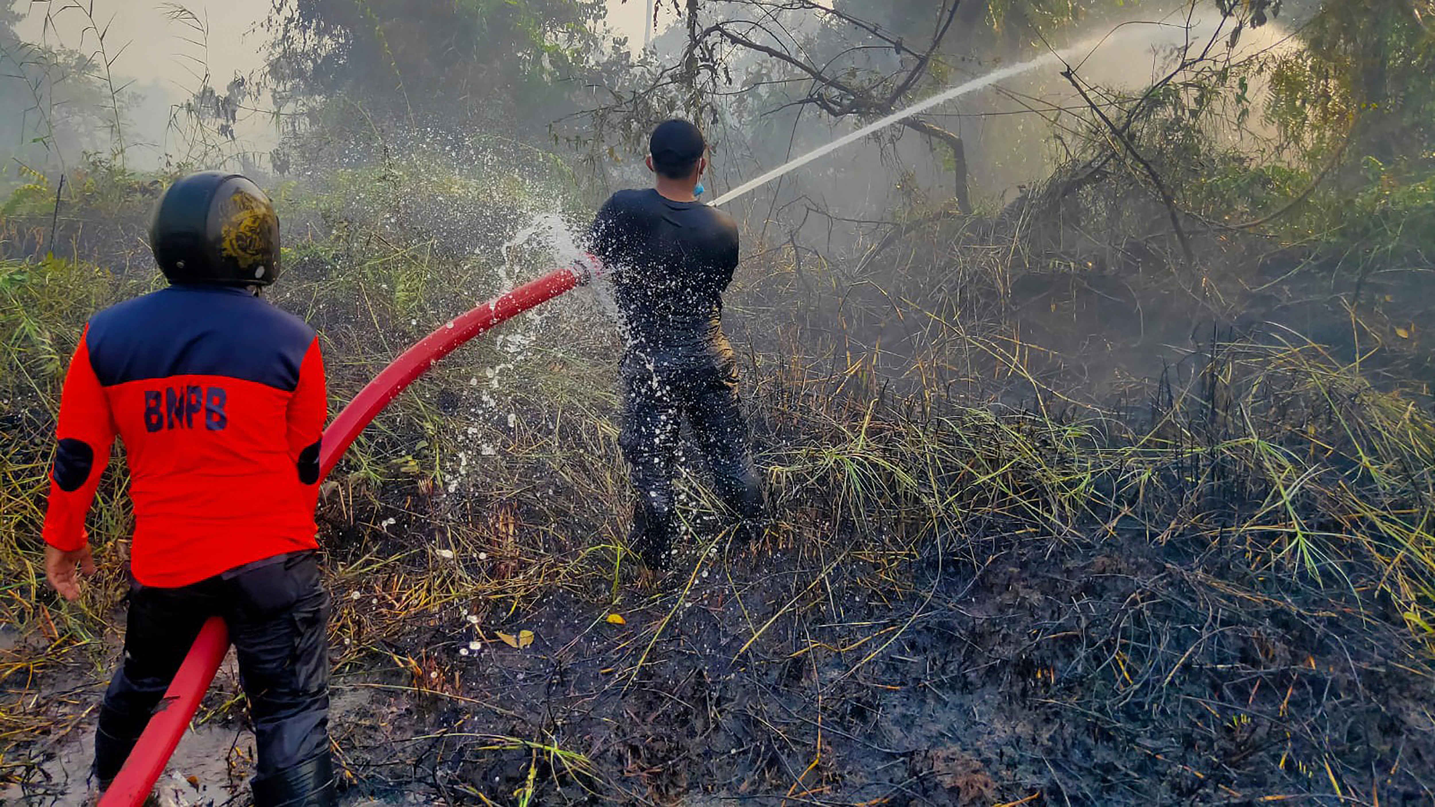 Indonesia Fires