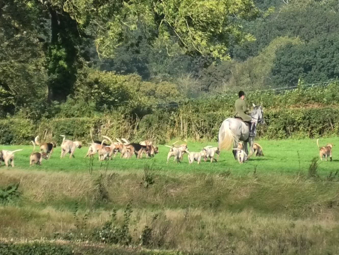 The Blackmore and Sparkford Vale Hunt