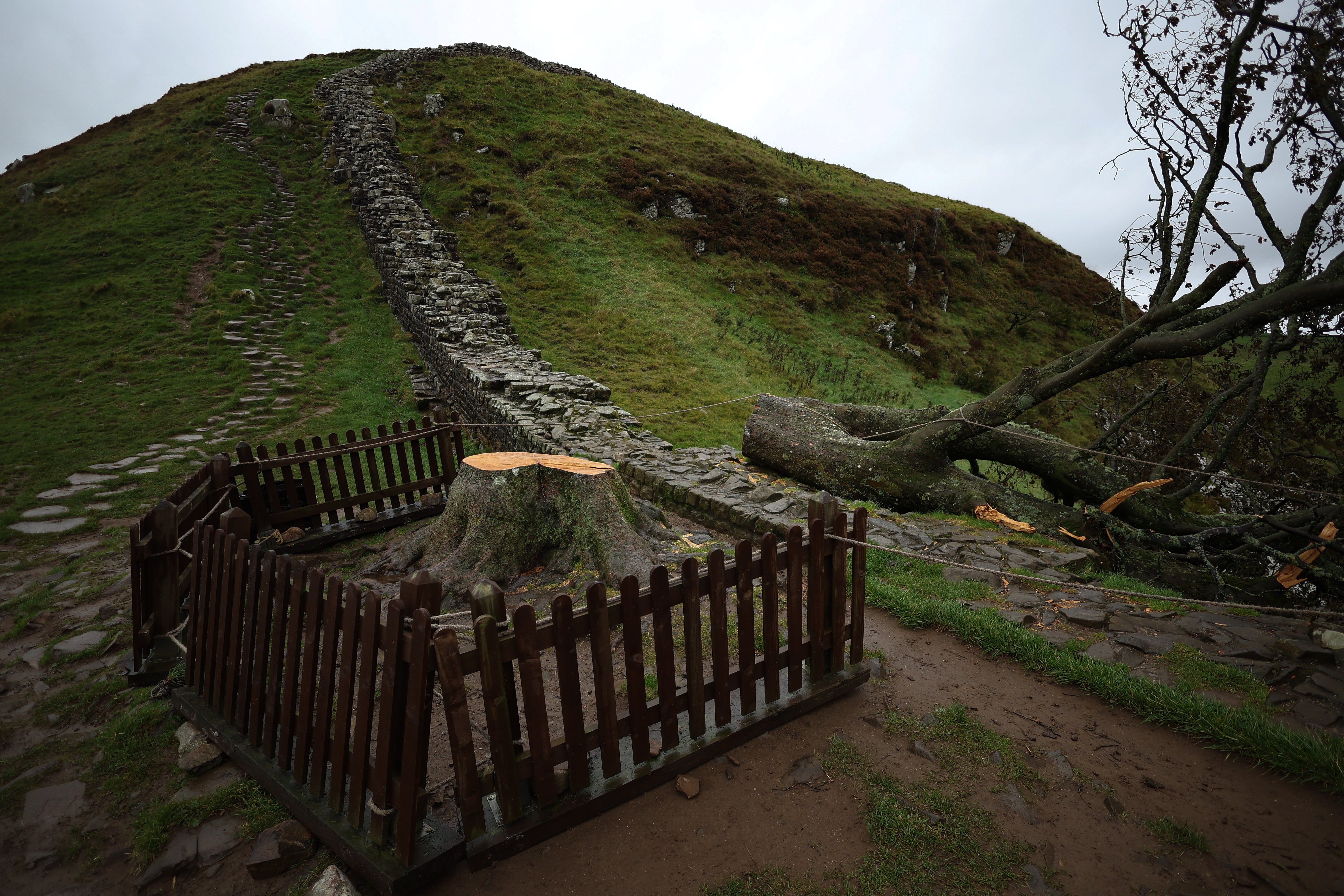 A protective fence surrounds the stump of the felled tree at Sycamore Gap