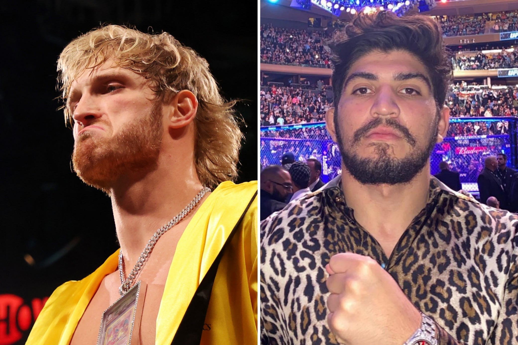 Logan Paul, left, and Dillon Danis