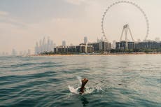 Find your perfect break in the sun: take our quiz to discover the ideal destination for your next trip