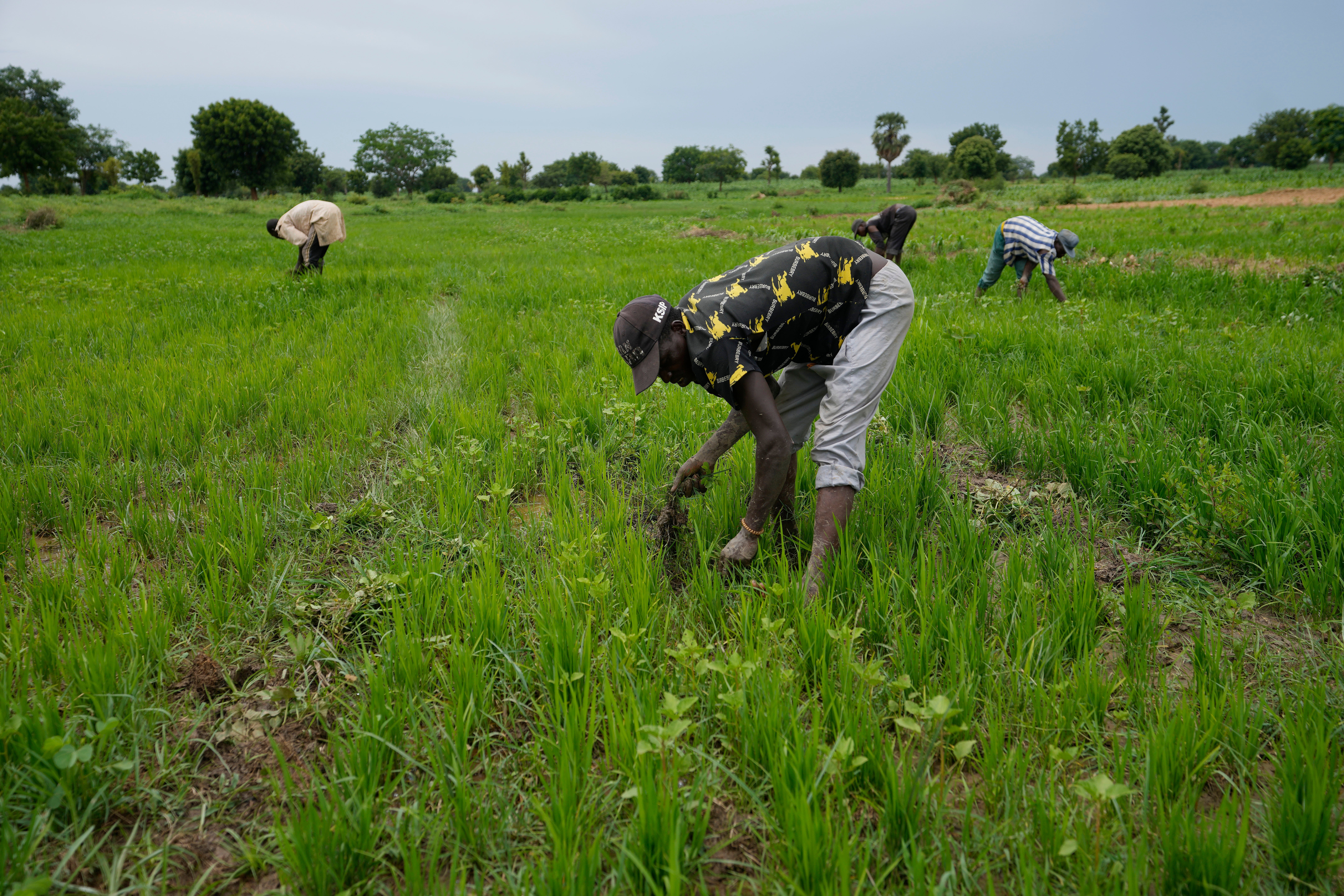 IMF Climate Conflict