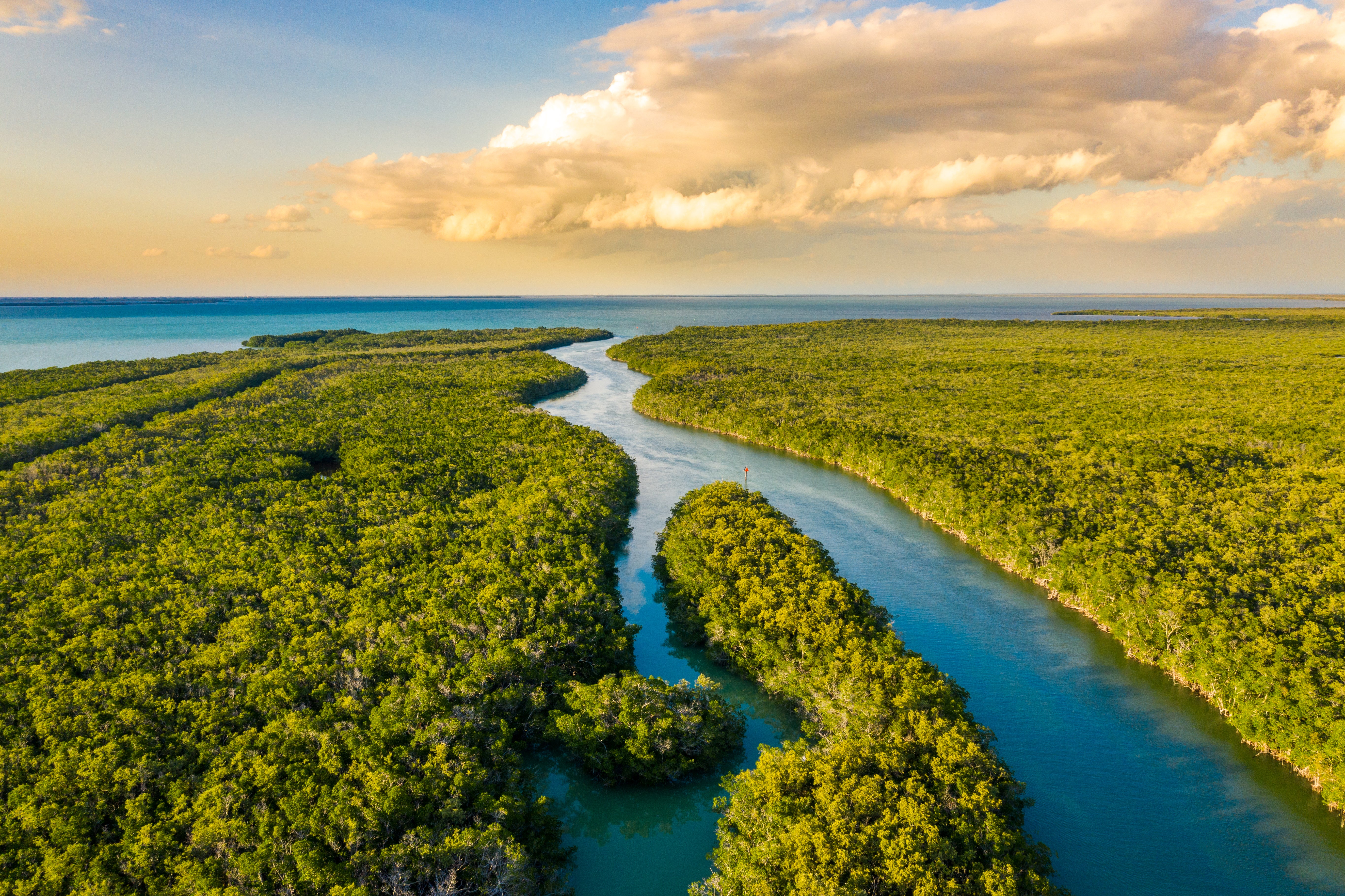 Enjoy a picturesque wildlife safari through Orlando’s famous wetlands