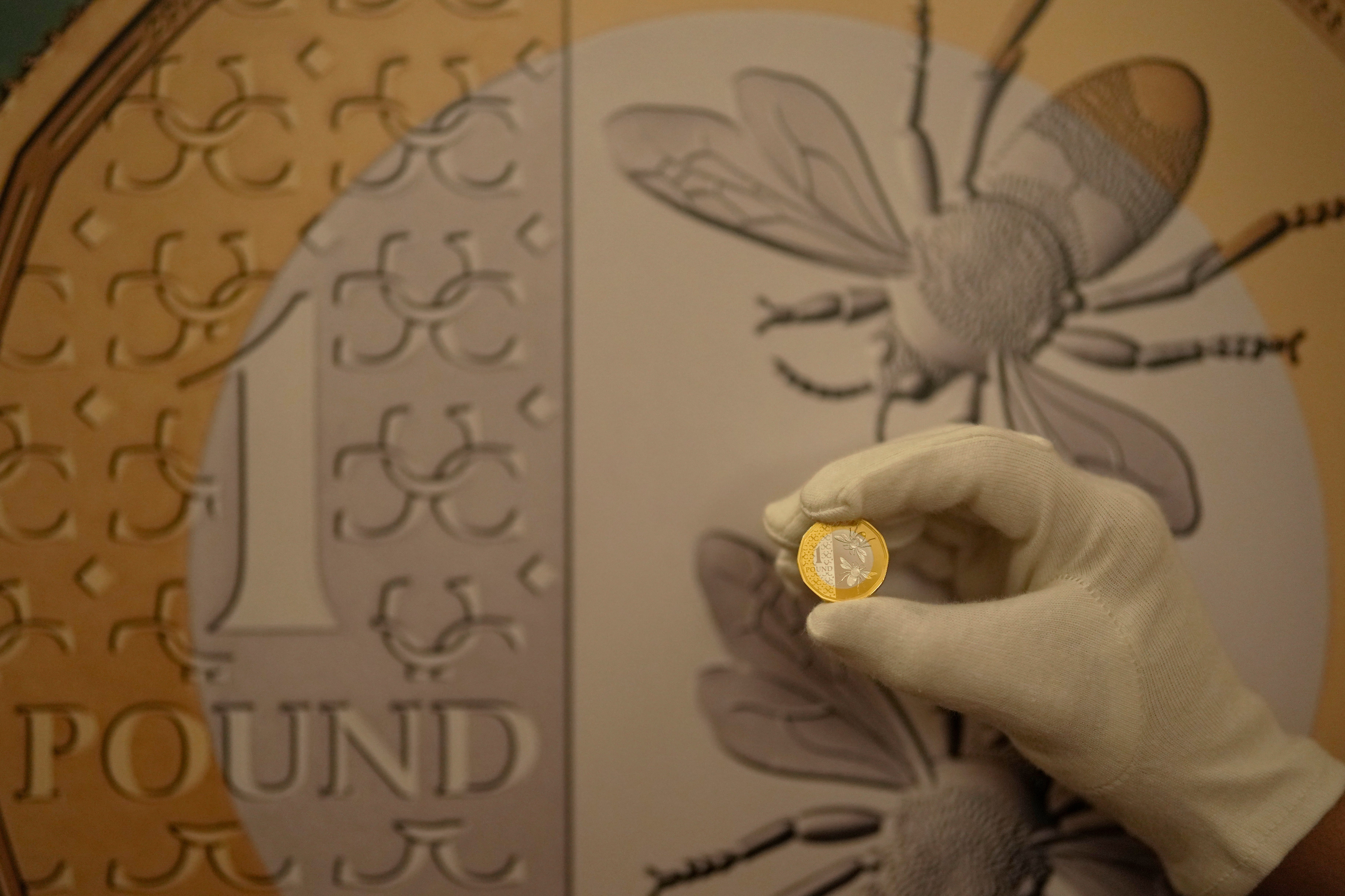 A detail showing the new 1 pound coin, showing the Bee motif