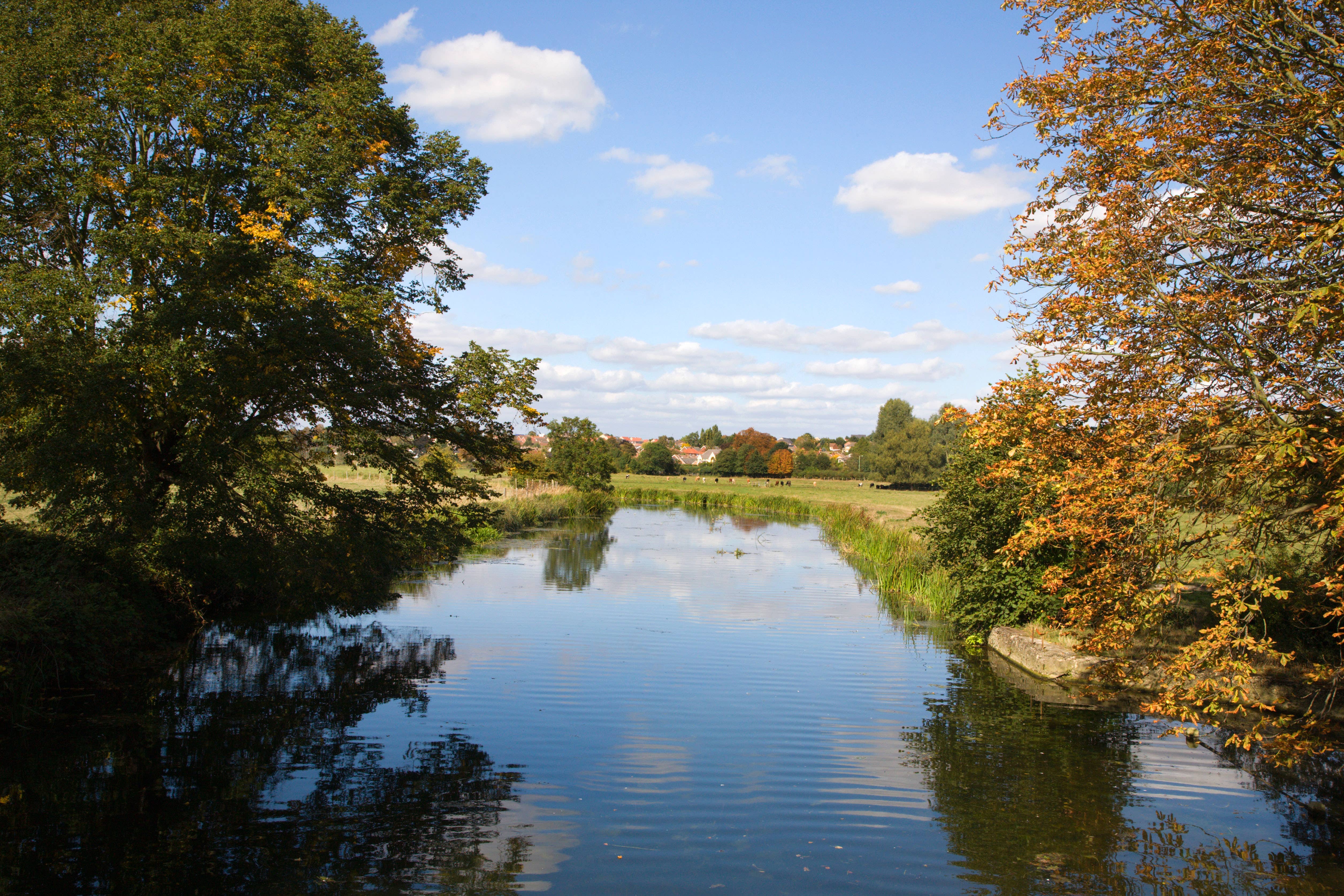 Two black bin bags of human bones found in a river contained skull fragments with 27 quite deep cuts ‘probably caused by a heavy-bladed weapon’, a detective has said (File image/Alamy/PA)