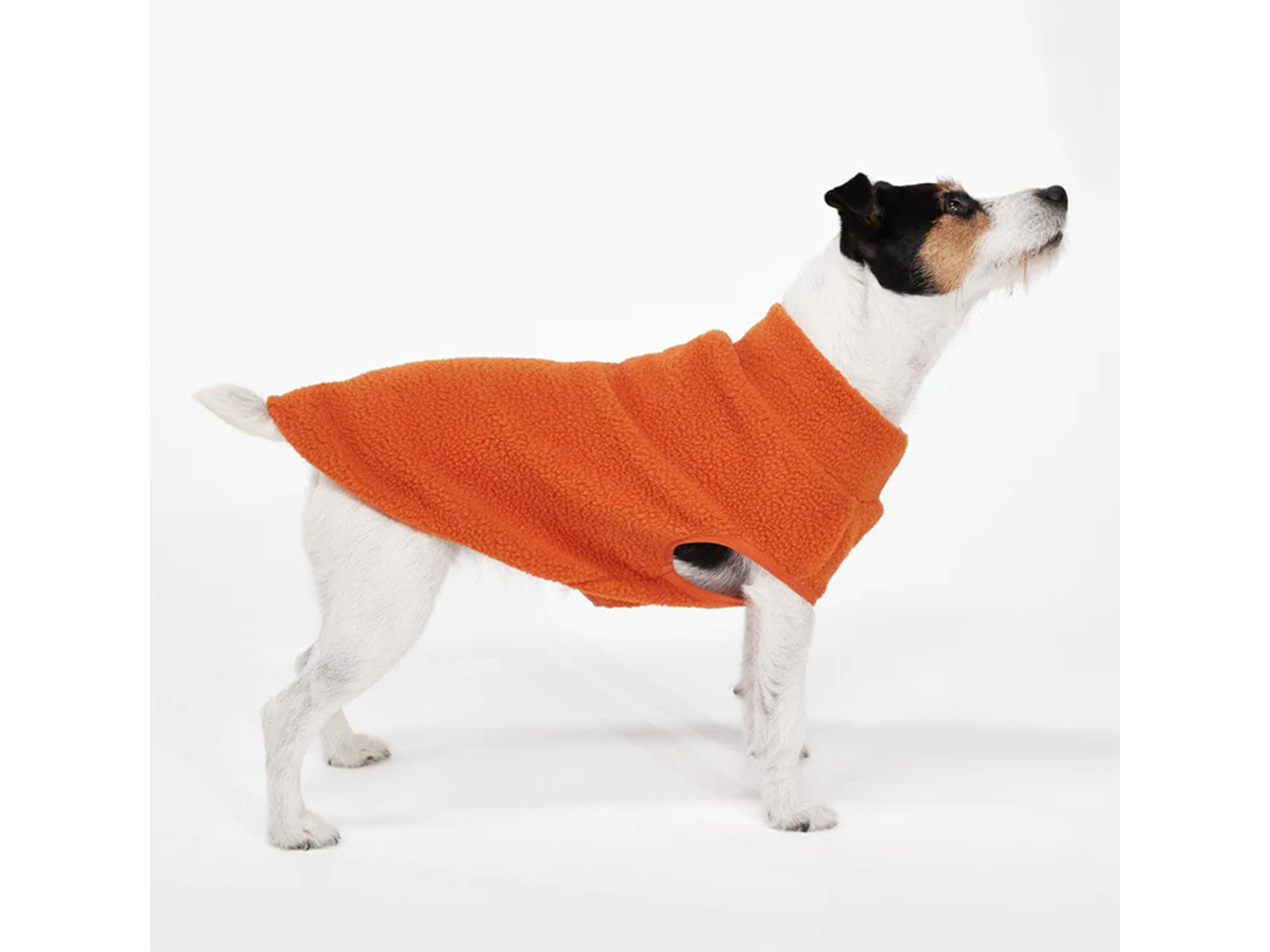 Bow wow sherpa dog coat