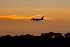 UK government charter flight leaves Israel with more expected to follow in coming days