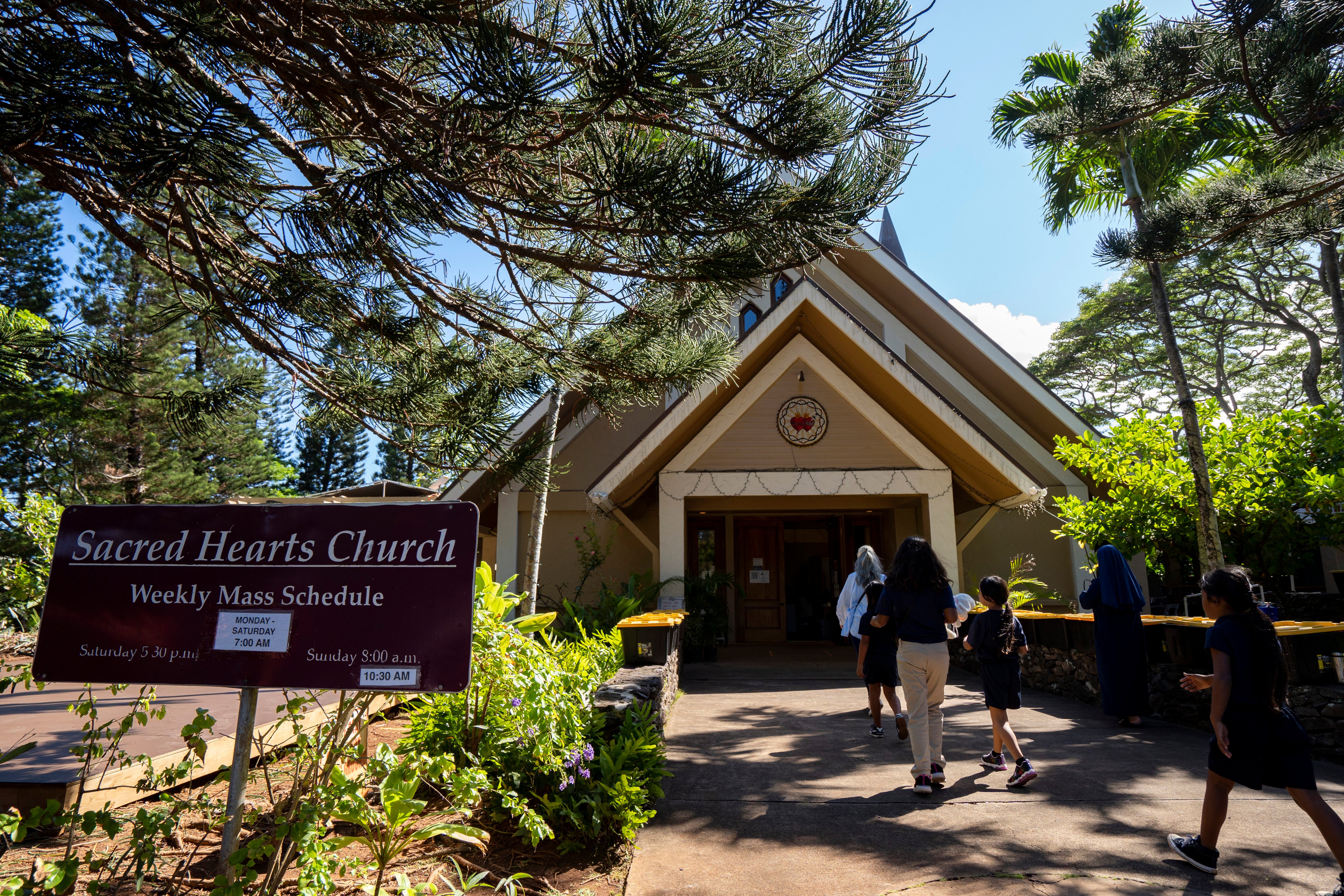 Hawaii Wildfire Schools