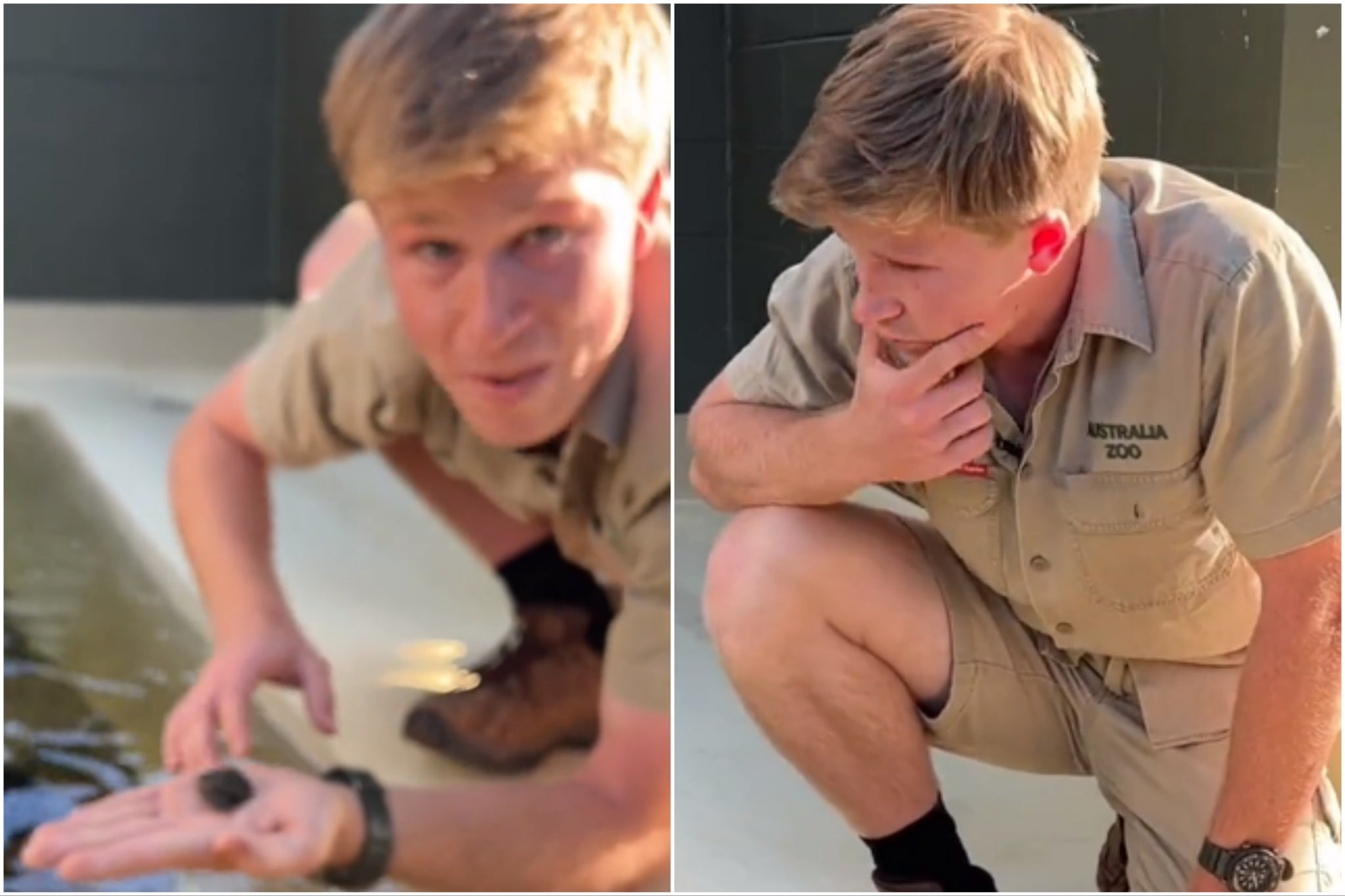 Robert Irwin and Irwin’s turtle