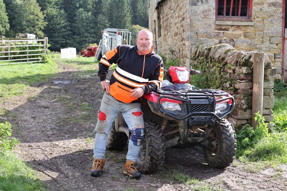 Walter Renwick denies he is responsible for the tree cutting