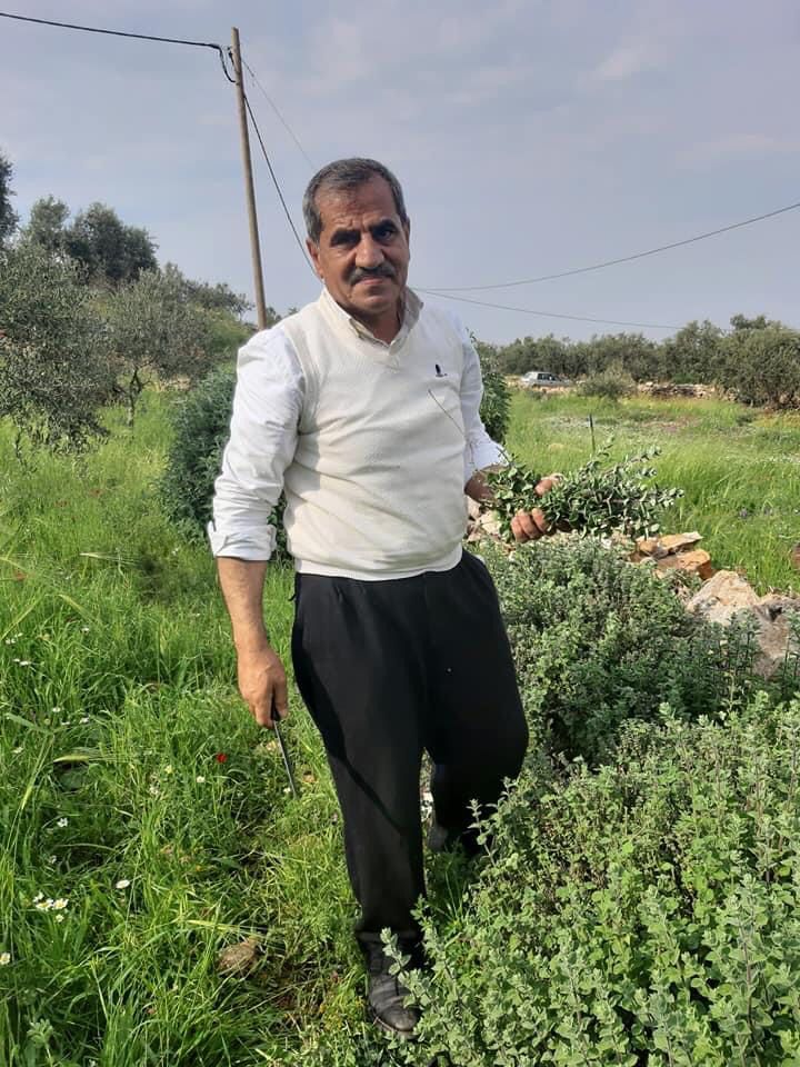 Ibrahim Wadi, 62, had been part of a centuries-old lineage of farmers planting thyme and olives on their land in Qusra village