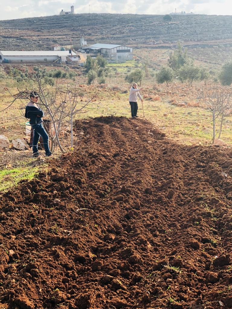 Israeli settlers and local Palestinians have clashed for decades over ownership of land in the West Bank