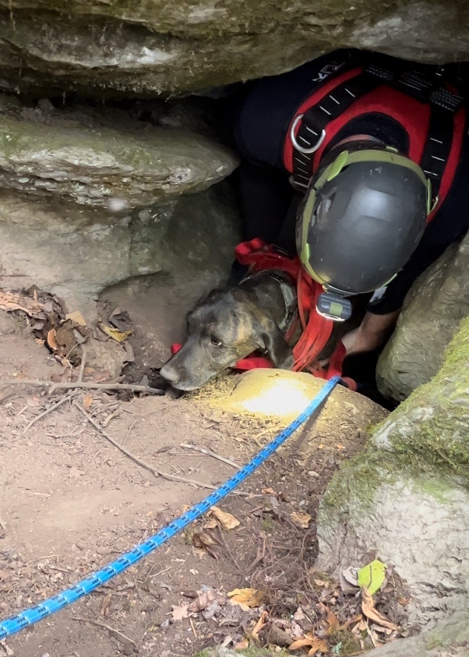 Charlie was rescued after being stuck for three days in the cave