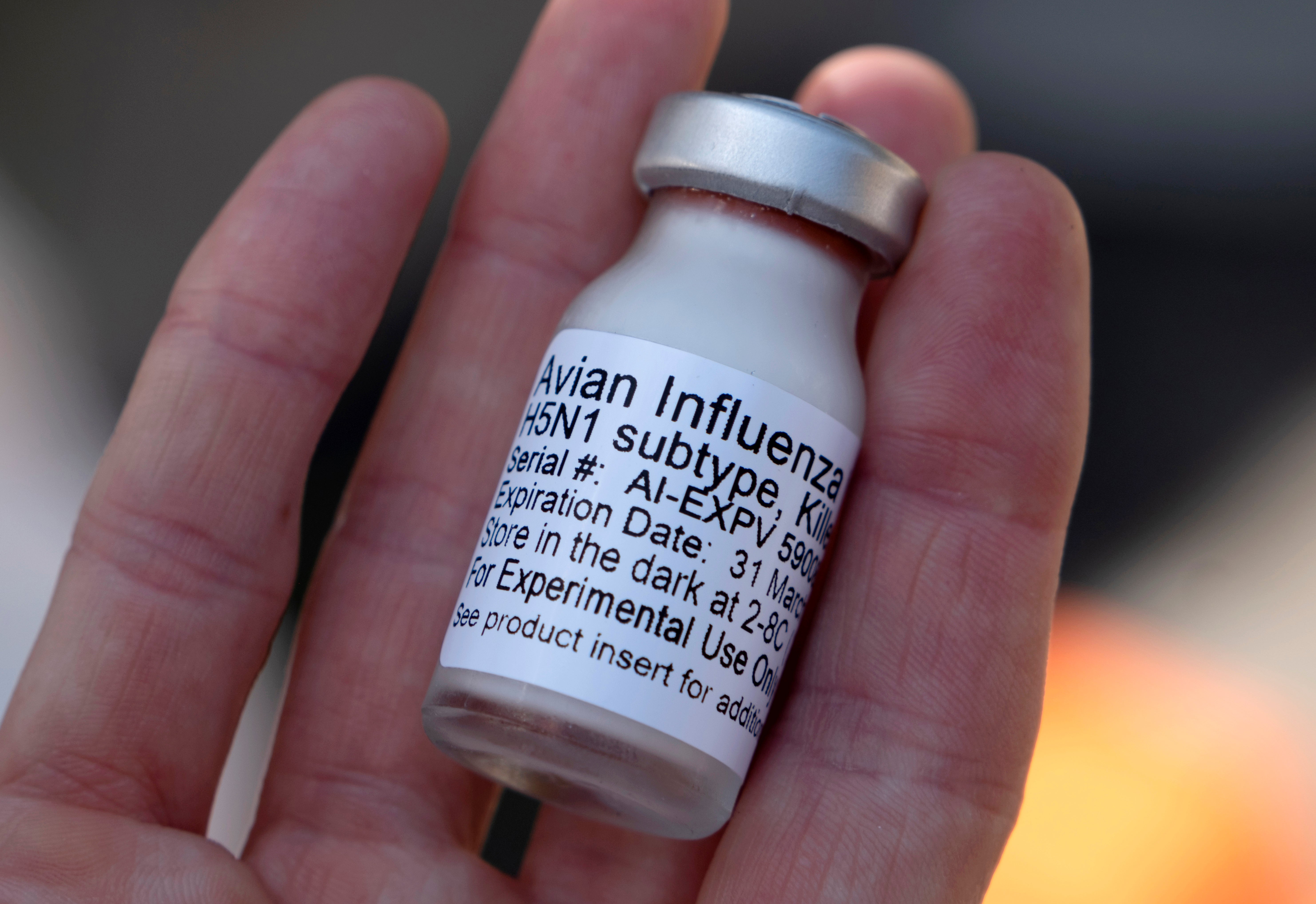 California Condors Vaccination